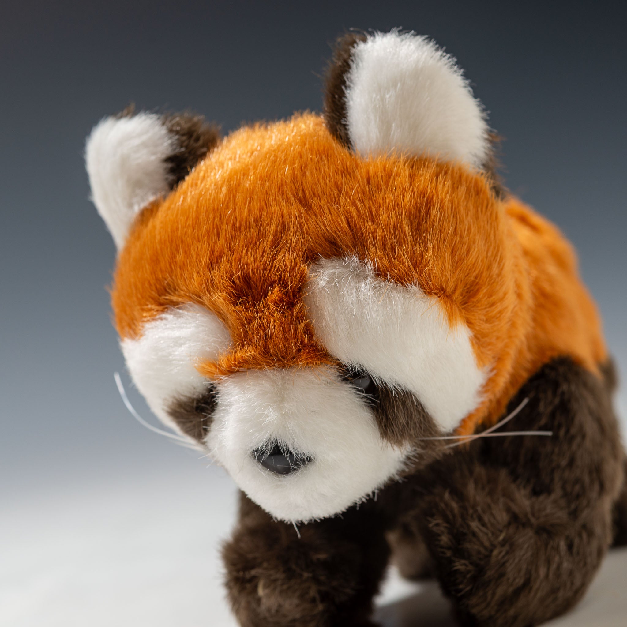 内藤デザイン研究所 ぬいぐるみ 大陸散歩 にこにこぱーく