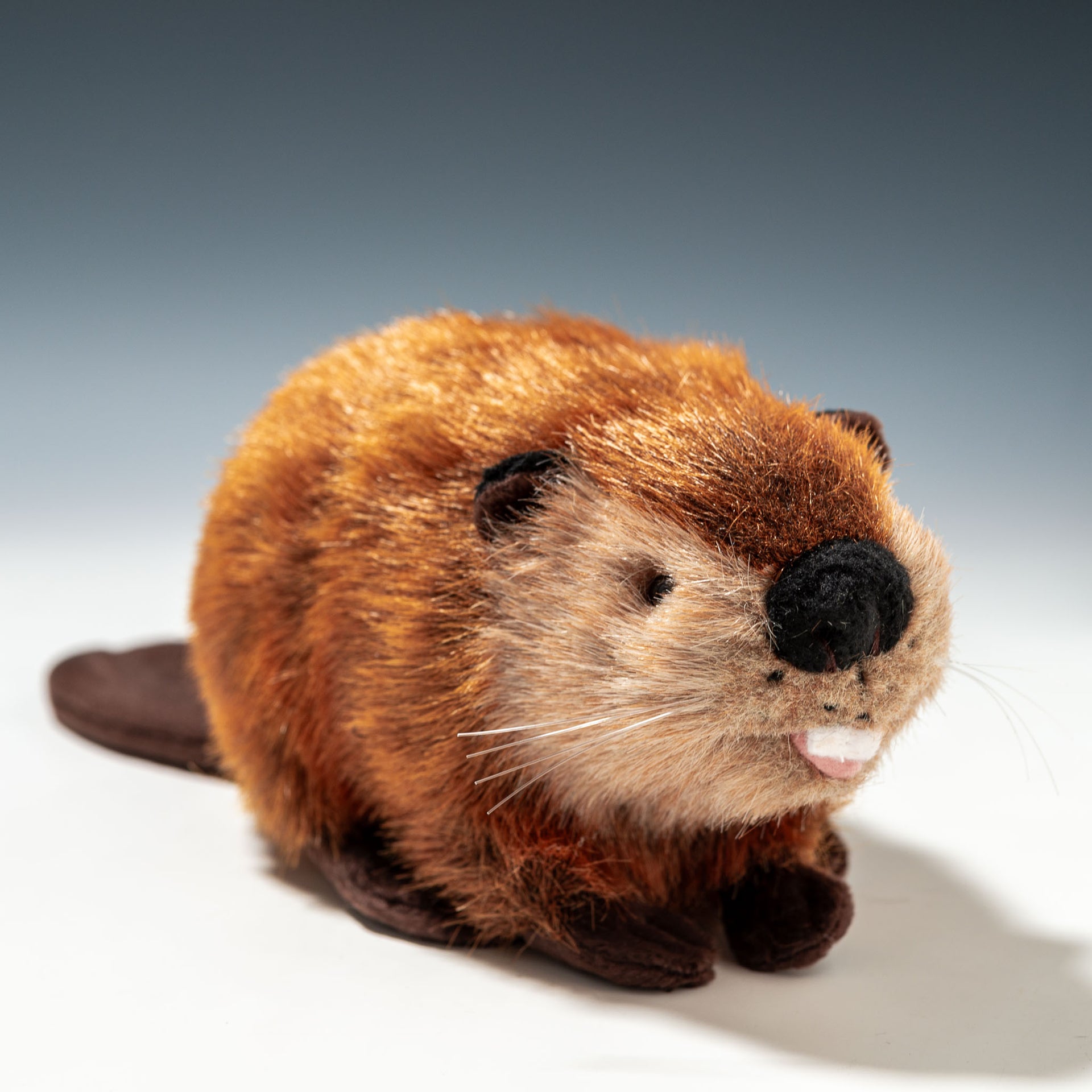 super beaver 吉徳ぬいぐるみ スーパービーバーコラボ（ビーバーちゃん 
