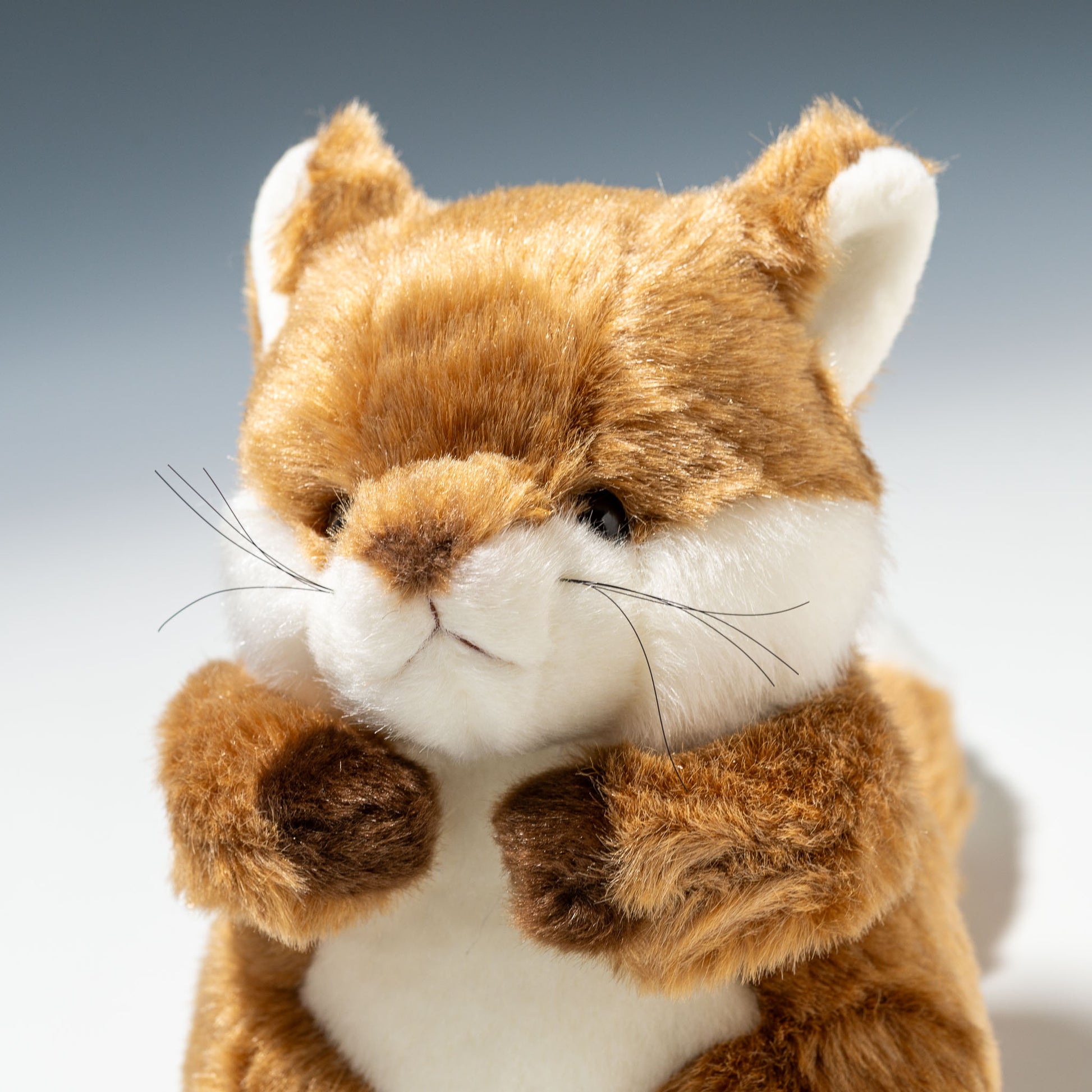 たけのこ TAKENOKO ぬいぐるみ 森のなかま (S) キツネ 18792 右横顔