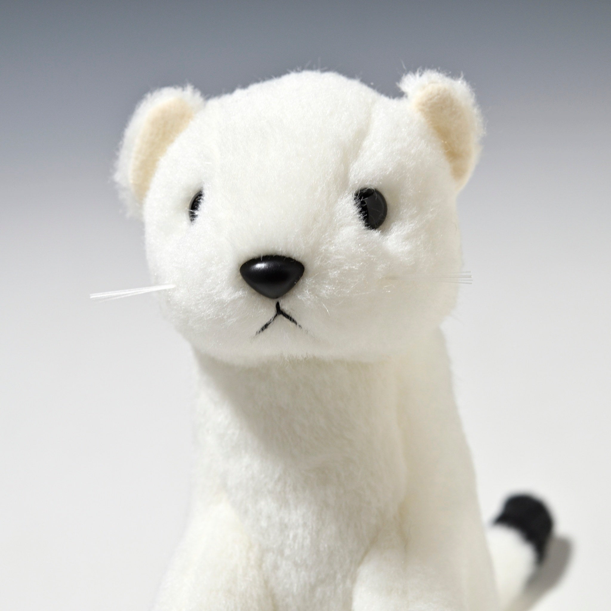 スターチャイルド STAR CHILD ぬいぐるみ オコジョ 1348 - エステルノ