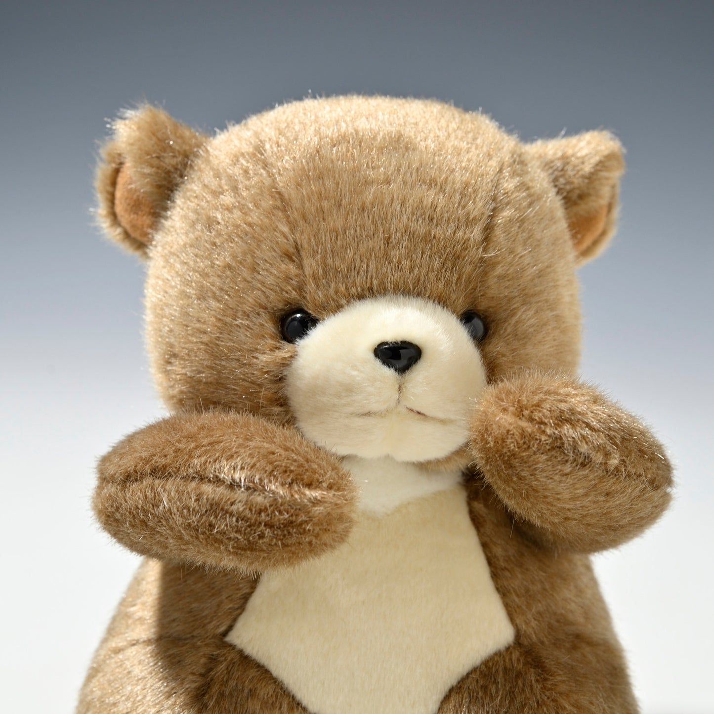 たけのこ TAKENOKO ぬいぐるみ 森のなかま (S) クマ 茶 18794 右横顔