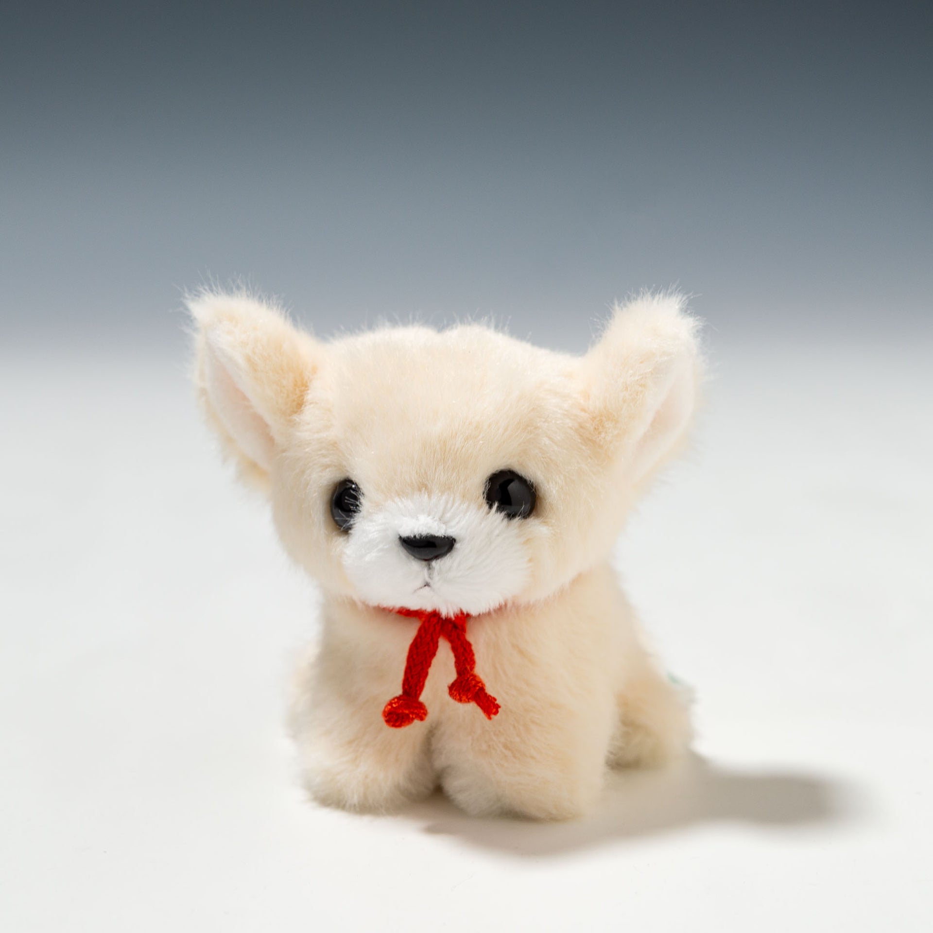 たけのこ TAKENOKO ぬいぐるみ キャンディフォンテーヌ チワワ 