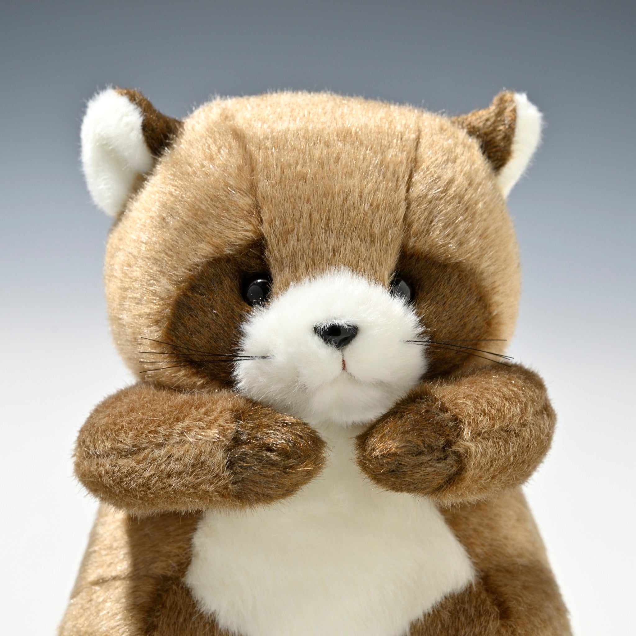 たけのこ TAKENOKO ぬいぐるみ 森のなかま (S) タヌキ 18796