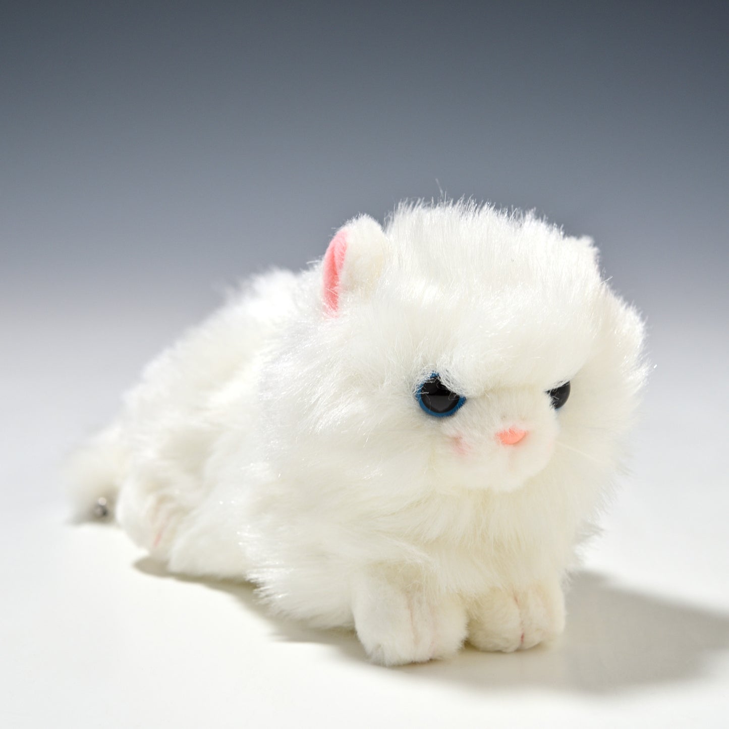 たけのこ TAKENOKO ぬいぐるみ プチどりーむ ミニ (A) ペルシャネコ 95030 正面