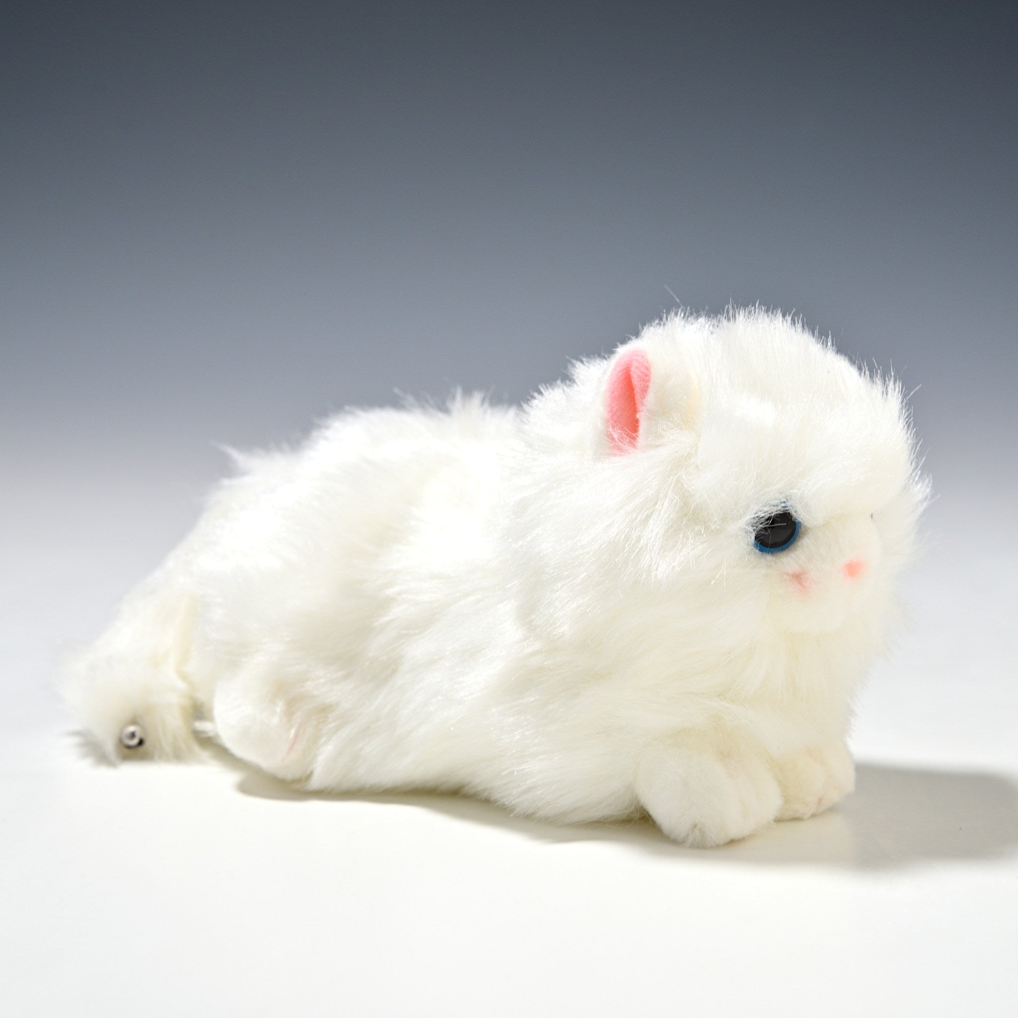 たけのこ TAKENOKO ぬいぐるみ プチどりーむ ミニ (A) ペルシャネコ