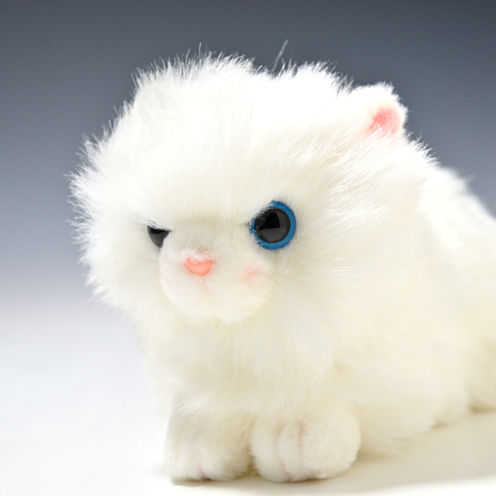 たけのこ TAKENOKO ぬいぐるみ プチどりーむ ミニ (A) ペルシャネコ