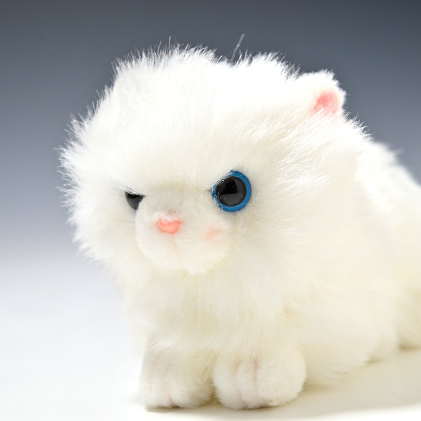 たけのこ TAKENOKO ぬいぐるみ プチどりーむ ミニ (A) ペルシャネコ 95030 左横顔