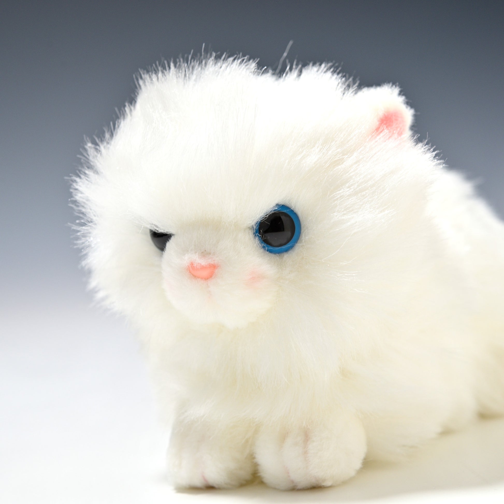 たけのこ TAKENOKO ぬいぐるみ プチどりーむ ミニ (A) ペルシャネコ 95030 左横顔