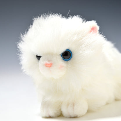 たけのこ TAKENOKO ぬいぐるみ プチどりーむ ミニ (A) ペルシャネコ 95030 左横顔