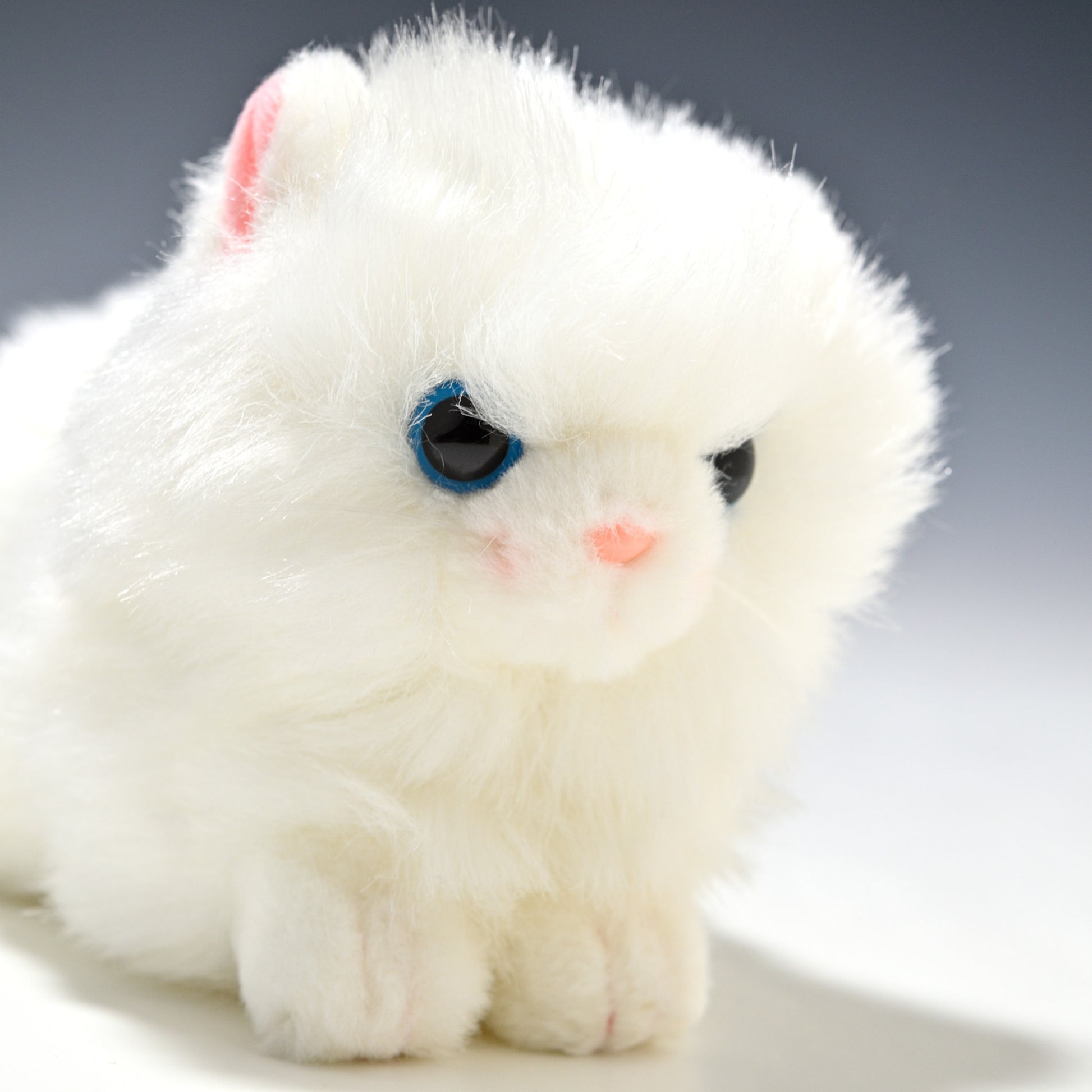 たけのこ TAKENOKO ぬいぐるみ プチどりーむ ミニ (A) ペルシャネコ 95030 右横顔