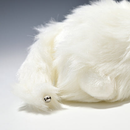 たけのこ TAKENOKO ぬいぐるみ プチどりーむ ミニ (A) ペルシャネコ 95030