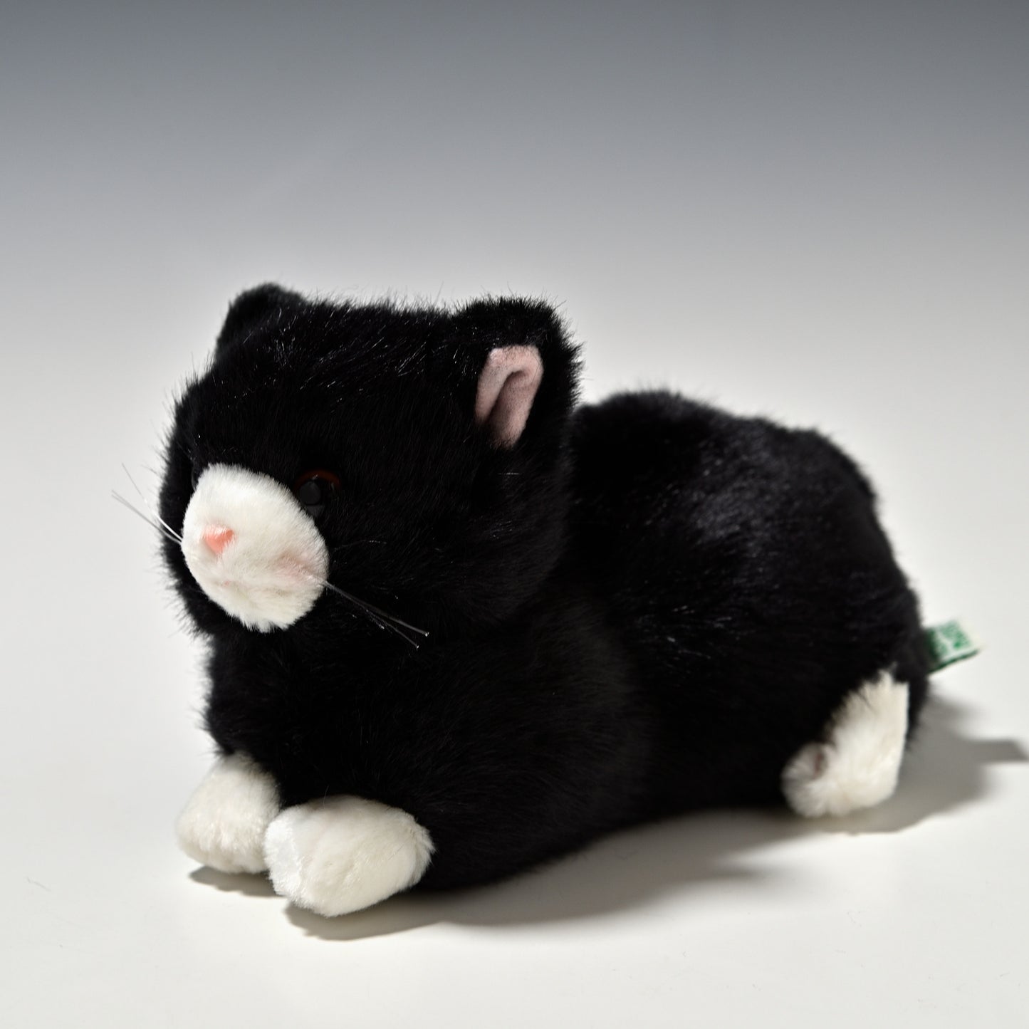 たけのこ TAKENOKO ぬいぐるみ プチどりーむ ミニ (A) 黒ネコ 95033 右横