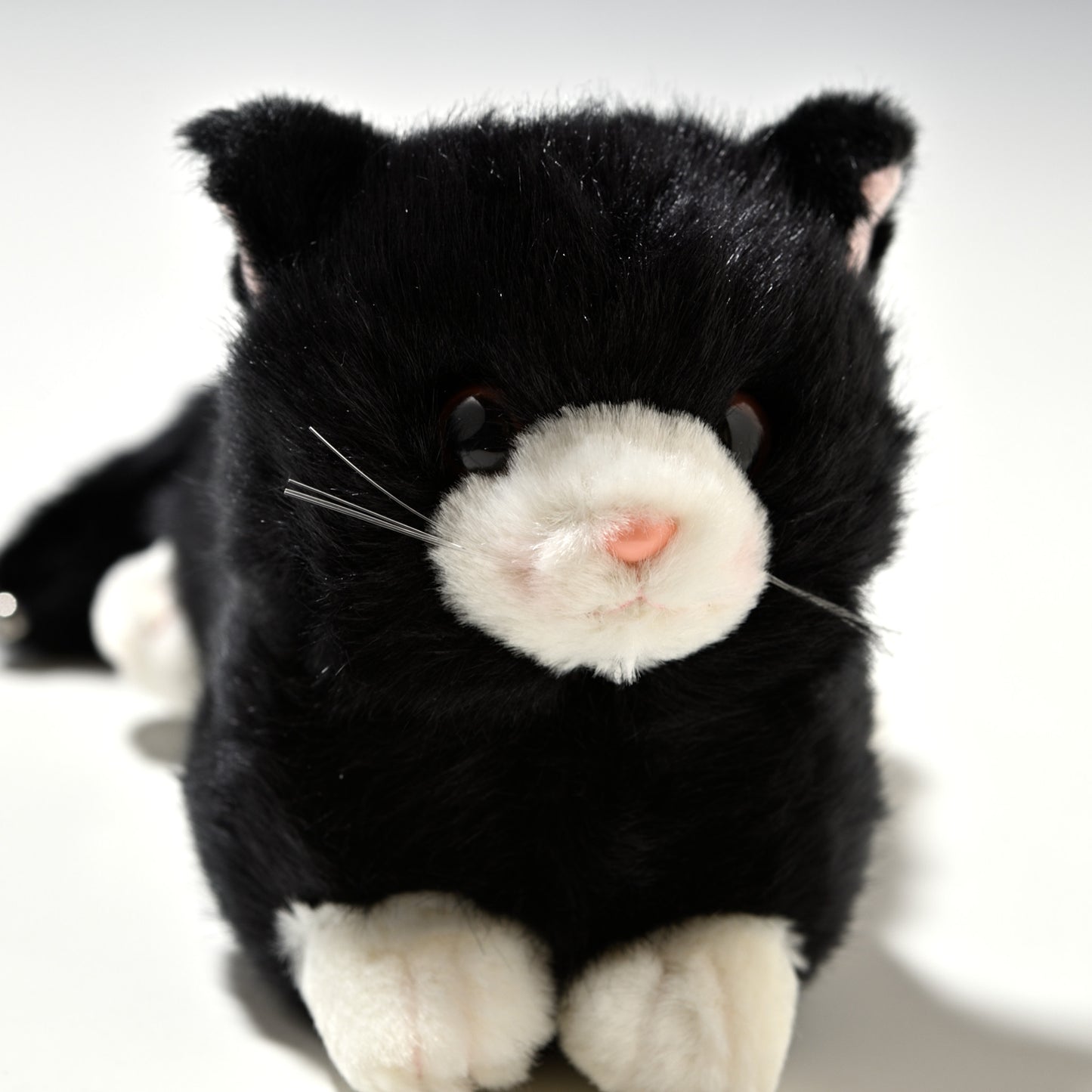 たけのこ TAKENOKO ぬいぐるみ プチどりーむ ミニ (A) 黒ネコ 95033 右横顔