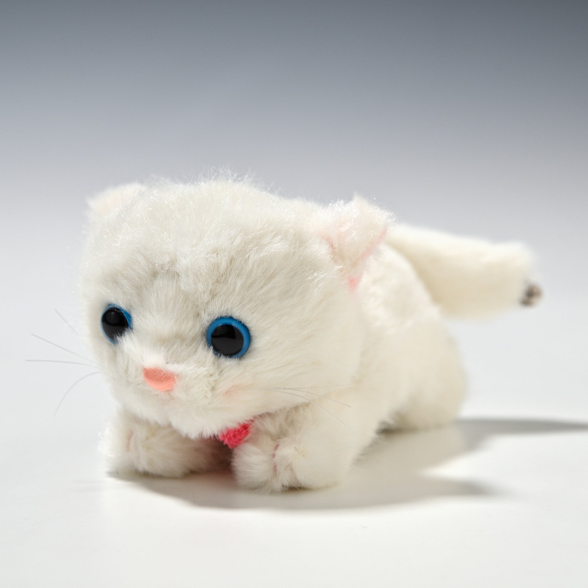 たけのこ TAKENOKO ぬいぐるみ シェリー這い ペルシャネコ 58848 正面