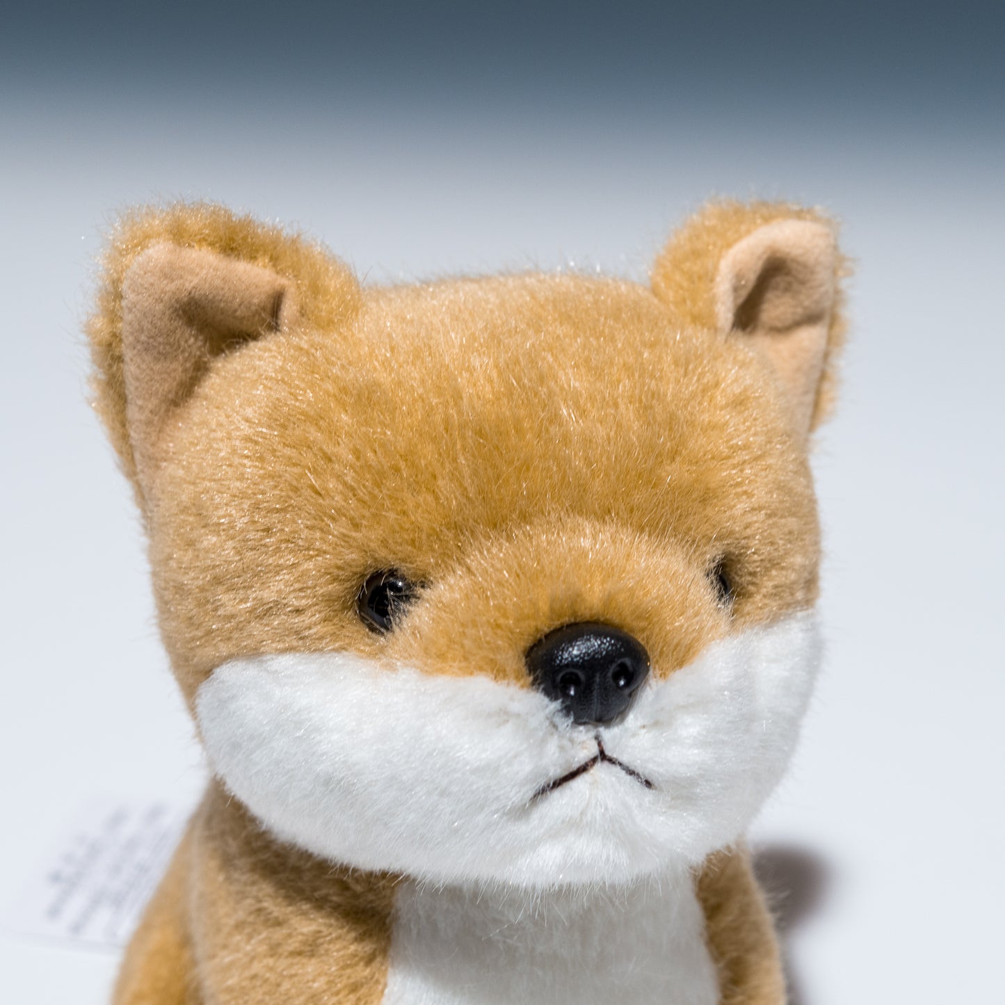 スターチャイルド STAR CHILD ぬいぐるみ 柴犬 座型 1166 左横顔