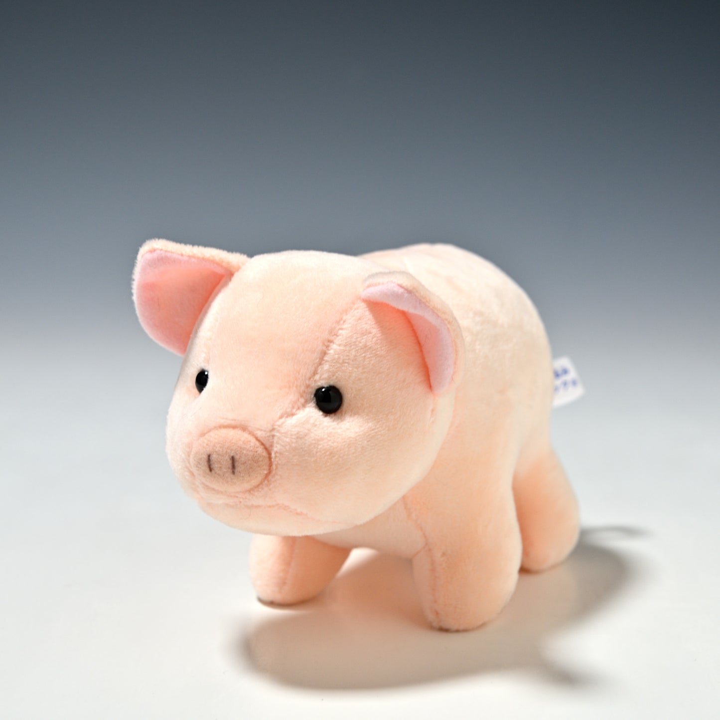 スターチャイルド STAR CHILD ぬいぐるみ 仔ブタのトントン 1284 正面