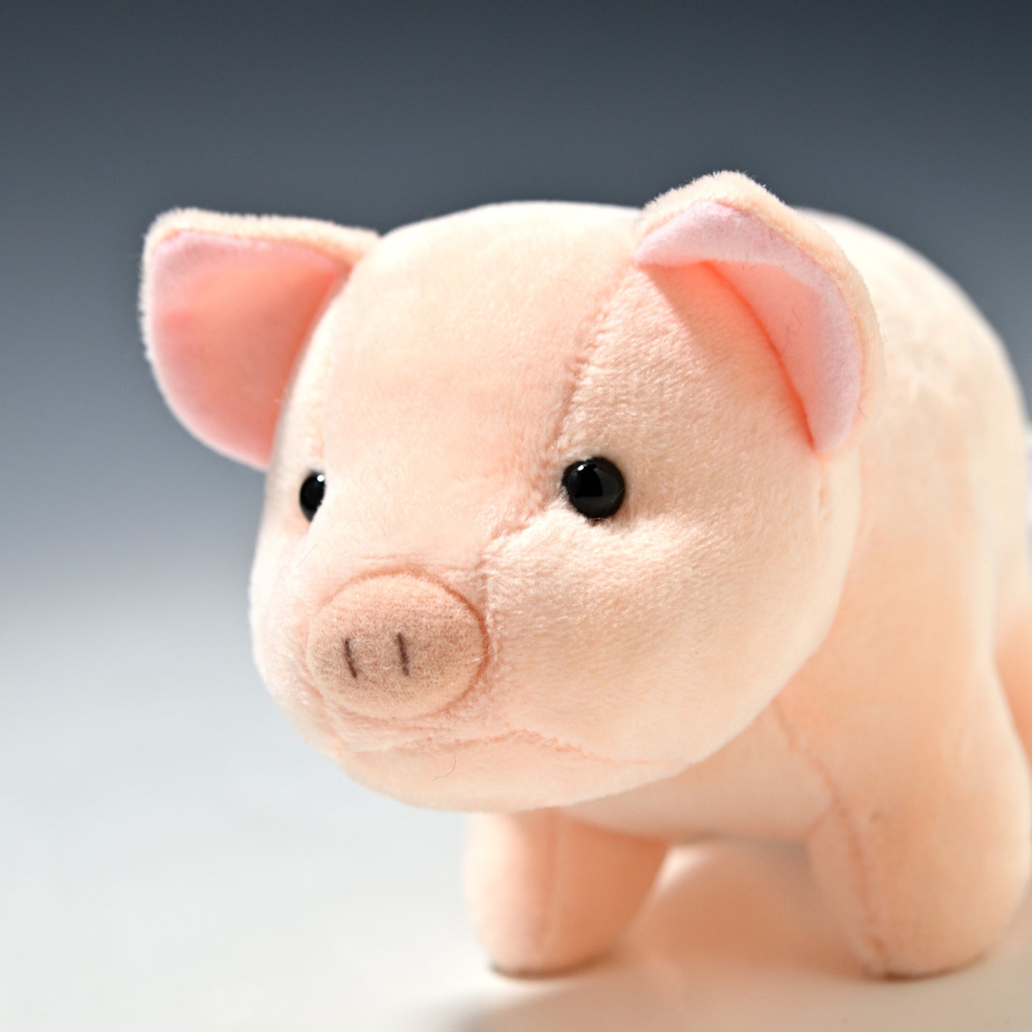 スターチャイルド STAR CHILD ぬいぐるみ 仔ブタのトントン 1284 左横顔