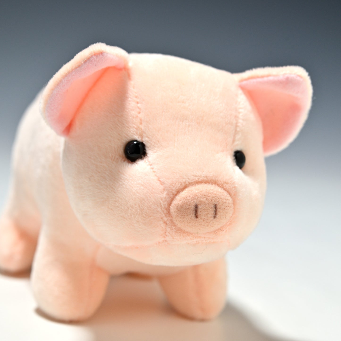 スターチャイルド STAR CHILD ぬいぐるみ 仔ブタのトントン 1284 右横顔