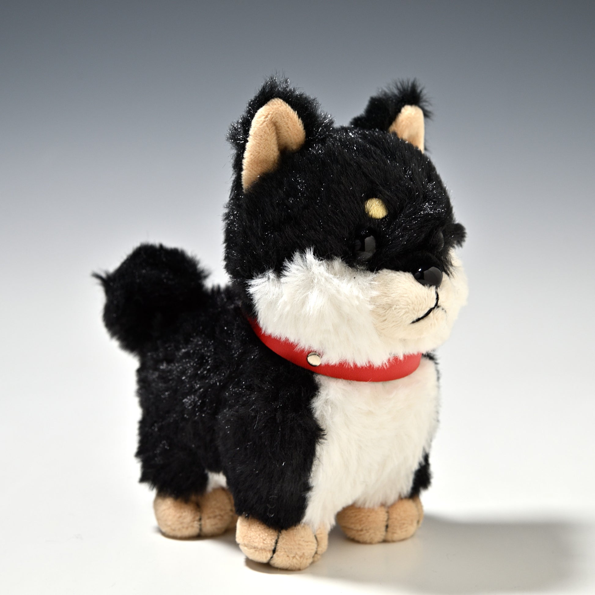 キュート販売 CUTE ぬいぐるみ ぽていぬ くろしばちゃん 黒柴犬 D0053 左横