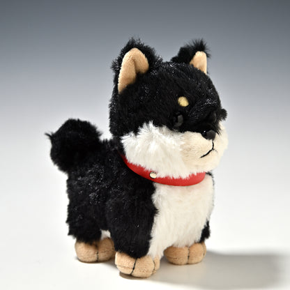 キュート販売 CUTE ぬいぐるみ ぽていぬ くろしばちゃん 黒柴犬 D0053 左横