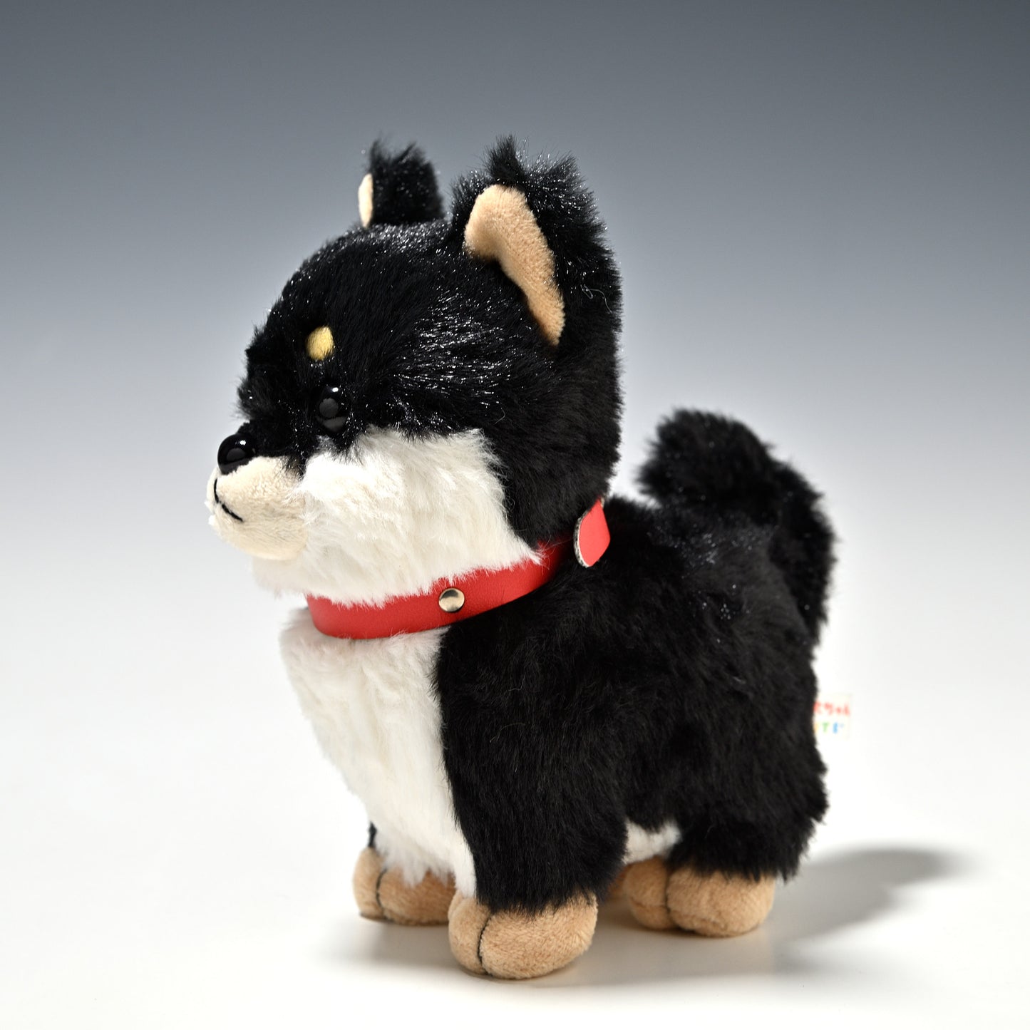 キュート販売 CUTE ぬいぐるみ ぽていぬ くろしばちゃん 黒柴犬 D0053 右横