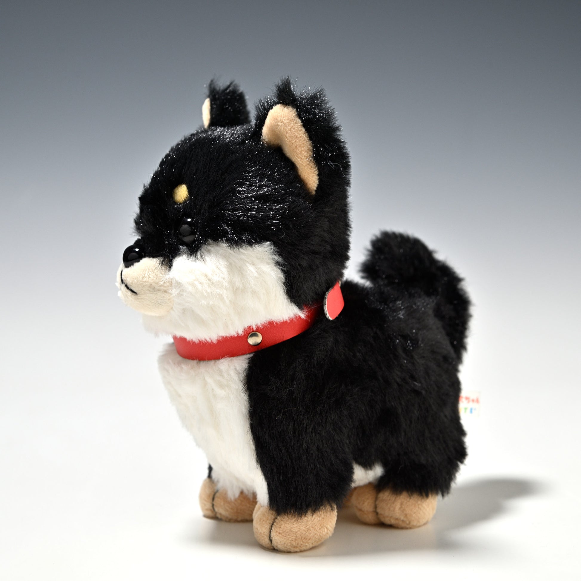 キュート販売 CUTE ぬいぐるみ ぽていぬ くろしばちゃん 黒柴犬 D0053 右横