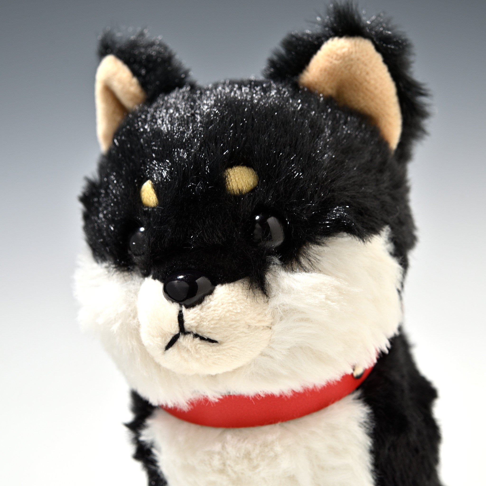 キュート販売 CUTE ぬいぐるみ ぽていぬ くろしばちゃん 黒柴犬 D0053