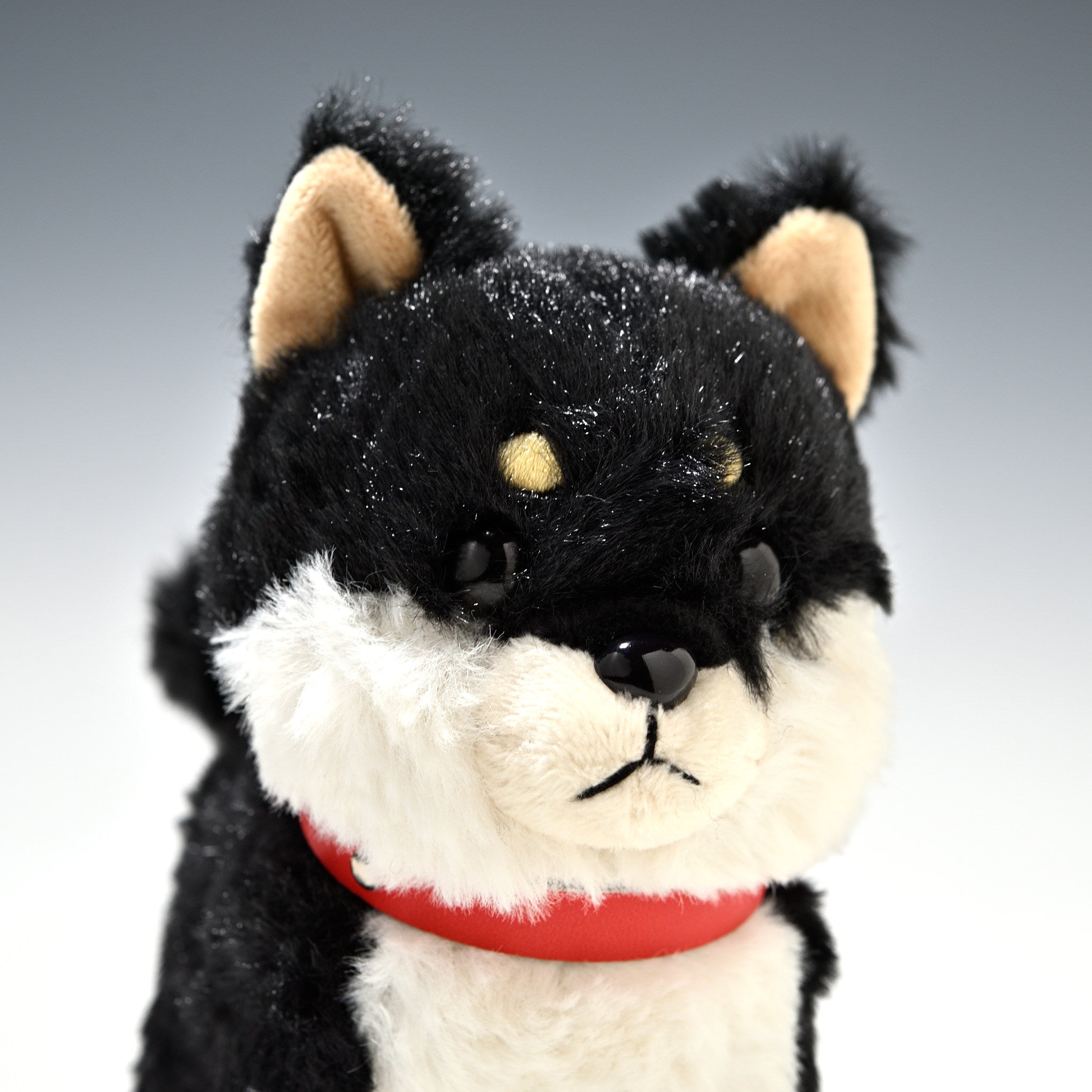 キュート販売 CUTE ぬいぐるみ ぽていぬ くろしばちゃん 黒柴犬 D0053