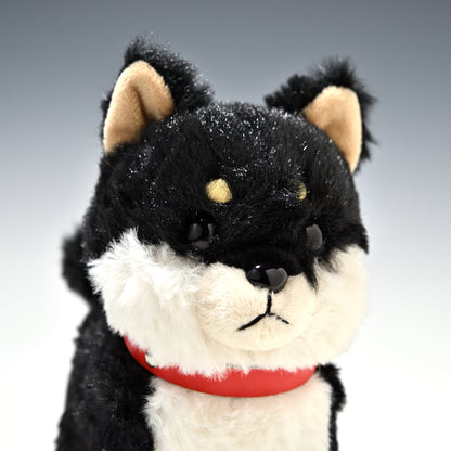 キュート販売 CUTE ぬいぐるみ ぽていぬ くろしばちゃん 黒柴犬 D0053 右横顔