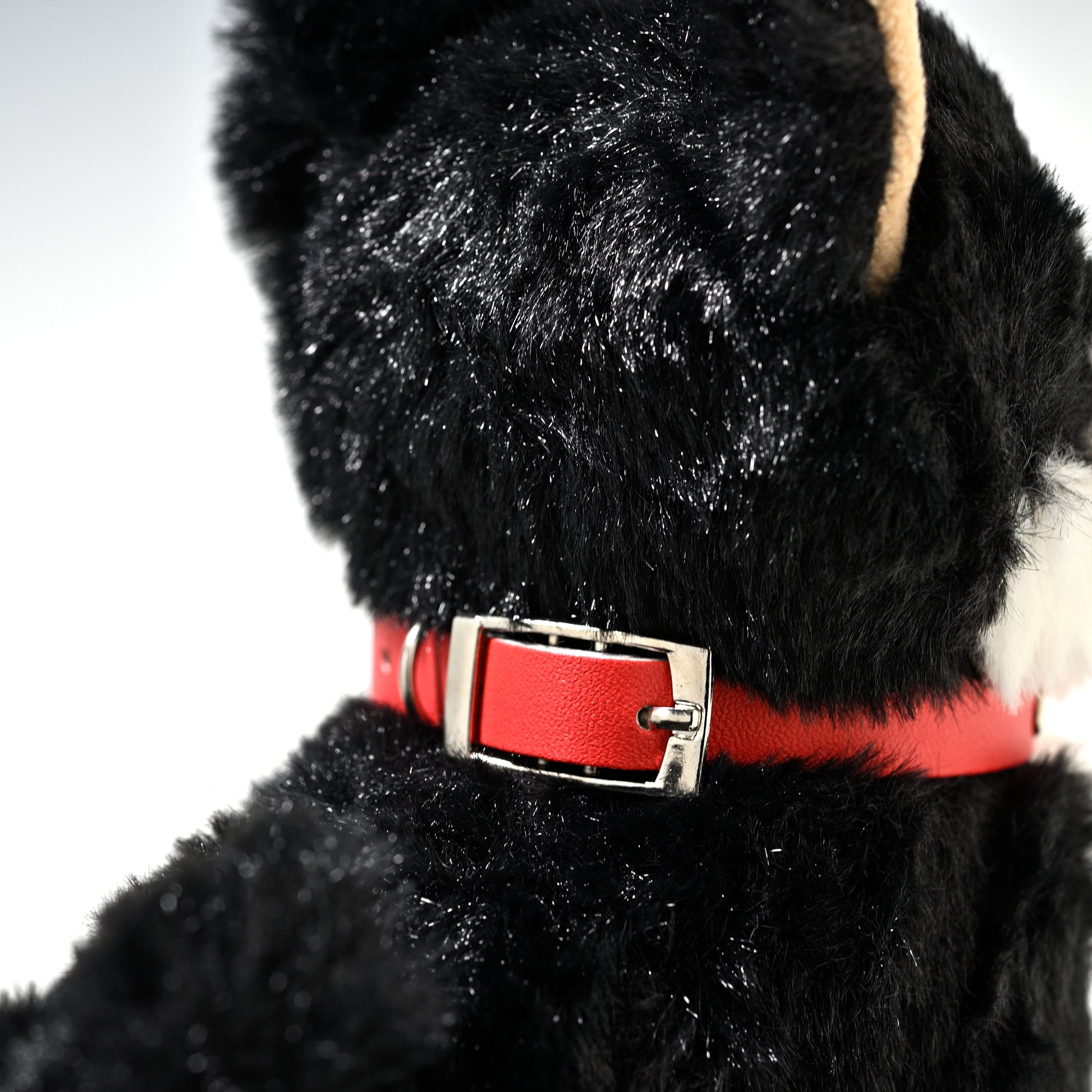キュート販売 CUTE ぬいぐるみ ぽていぬ くろしばちゃん 黒柴犬 D0053 首輪のアップ