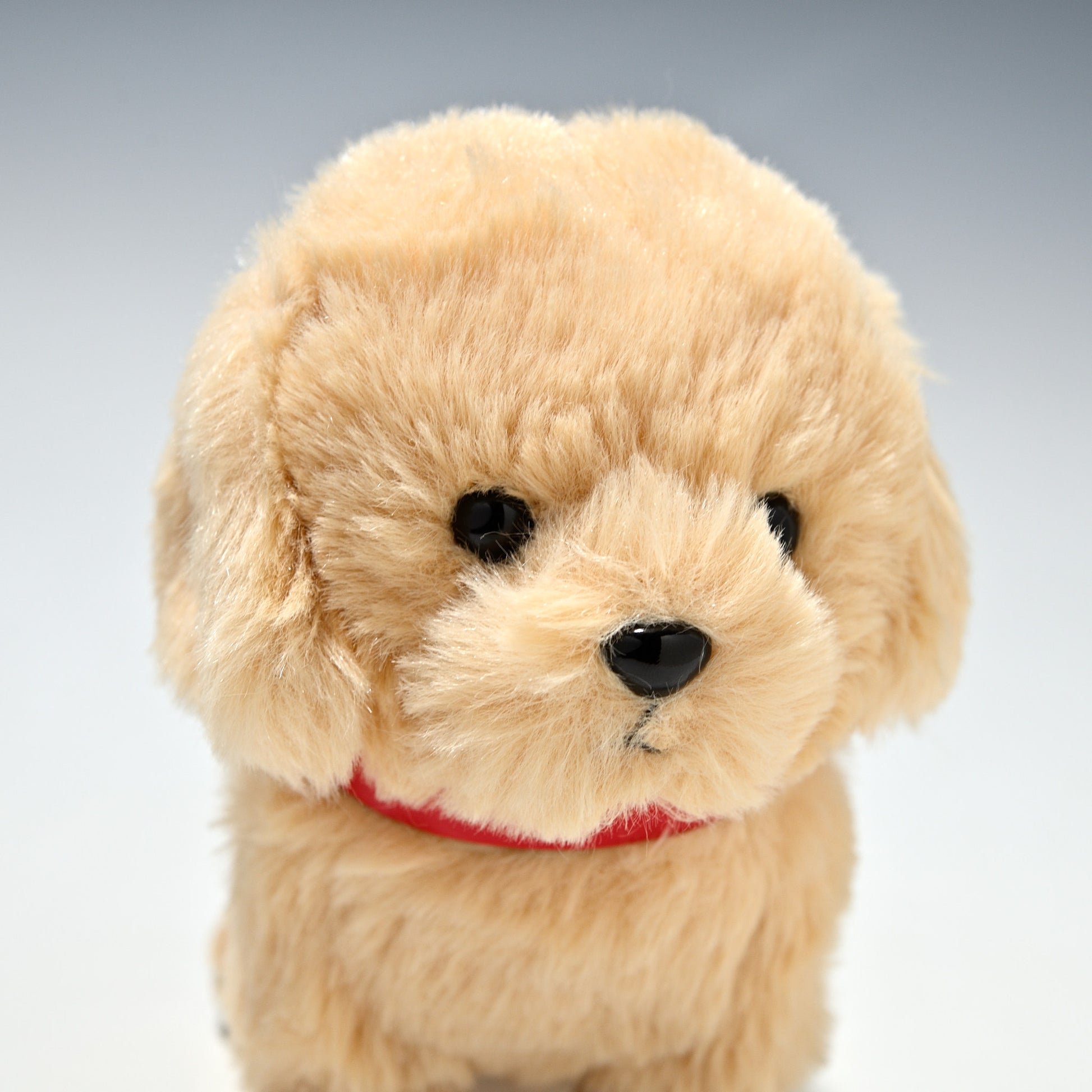 キュート販売 CUTE ぬいぐるみ ぽていぬ ラブちゃん ラブラドール D0056 右横顔