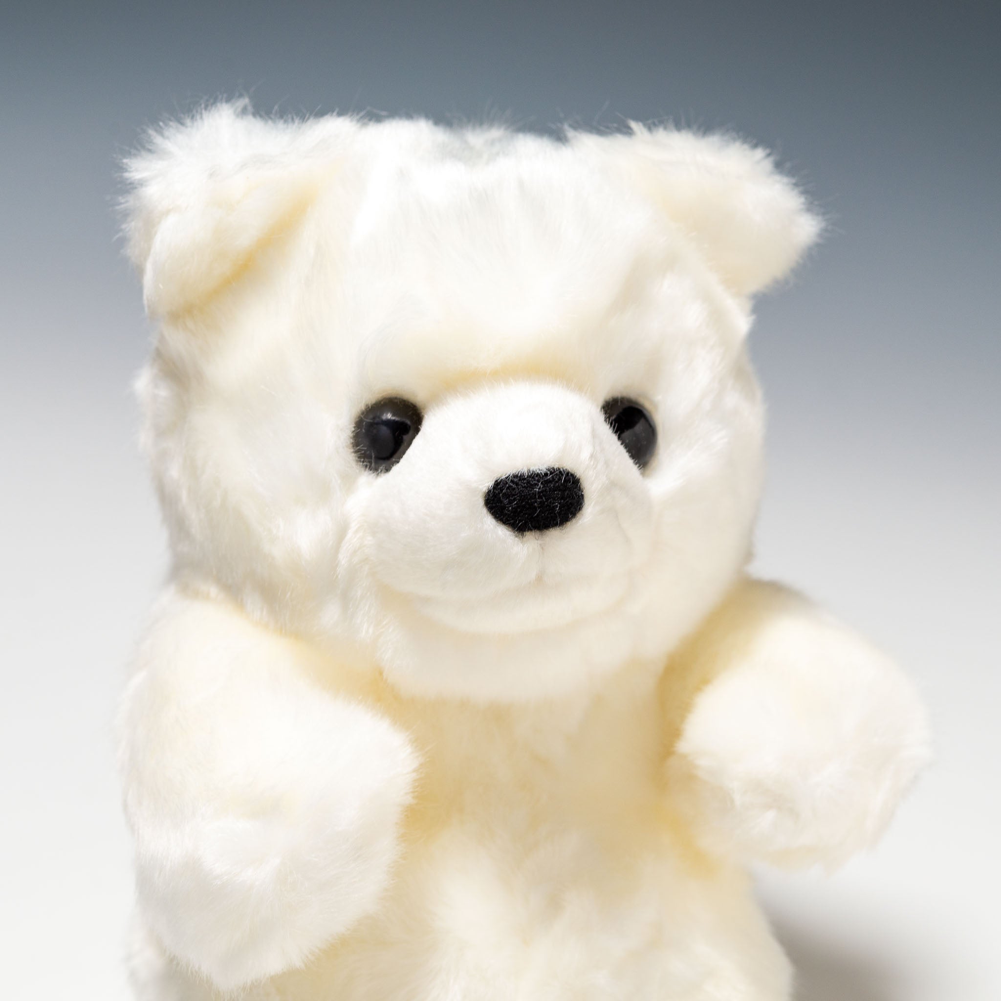 CUTE キュート販売 ぬいぐるみ マリンコレクション ポーラくん