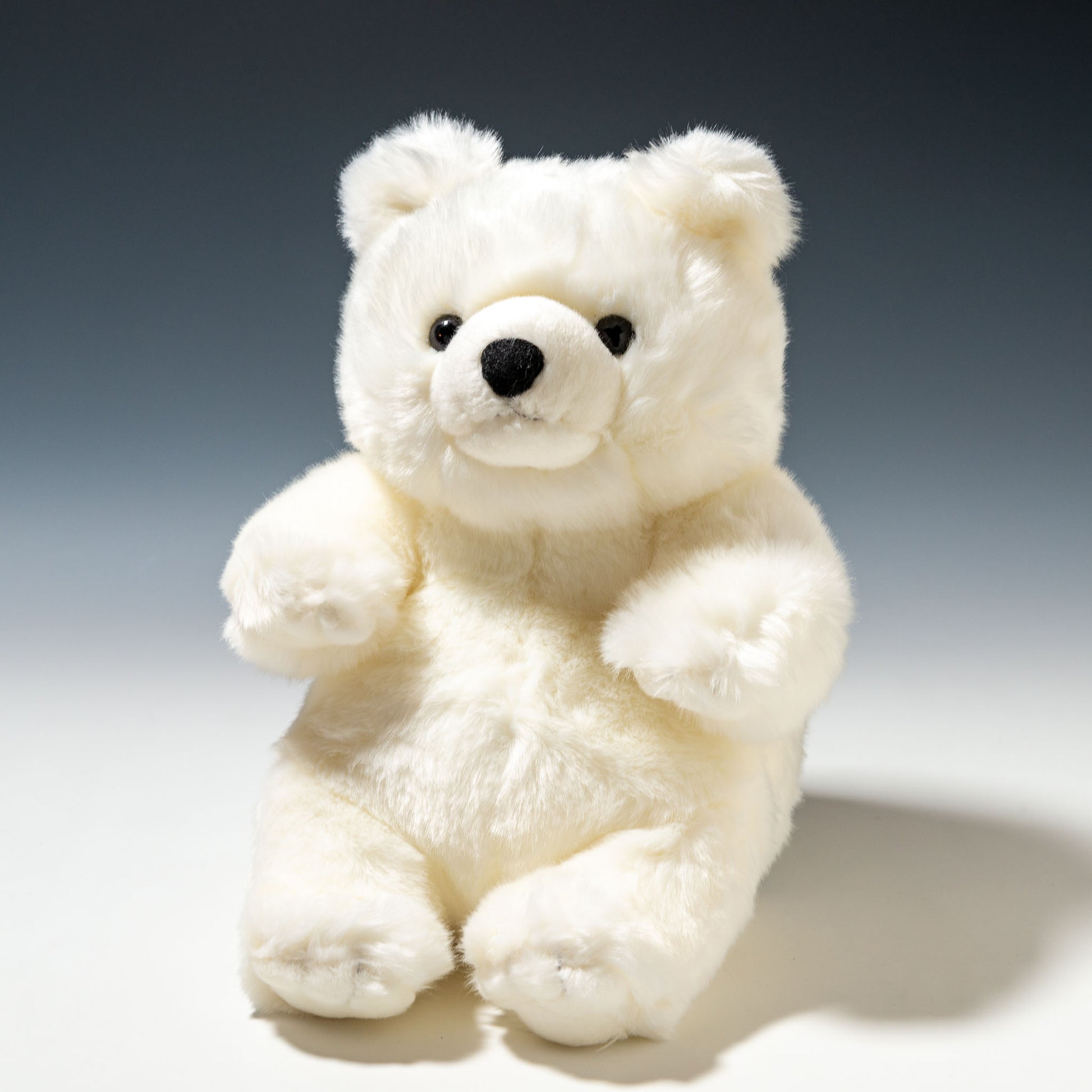 キュート販売 CUTE ぬいぐるみ マリンコレクション ポーラくん M M0137 正面