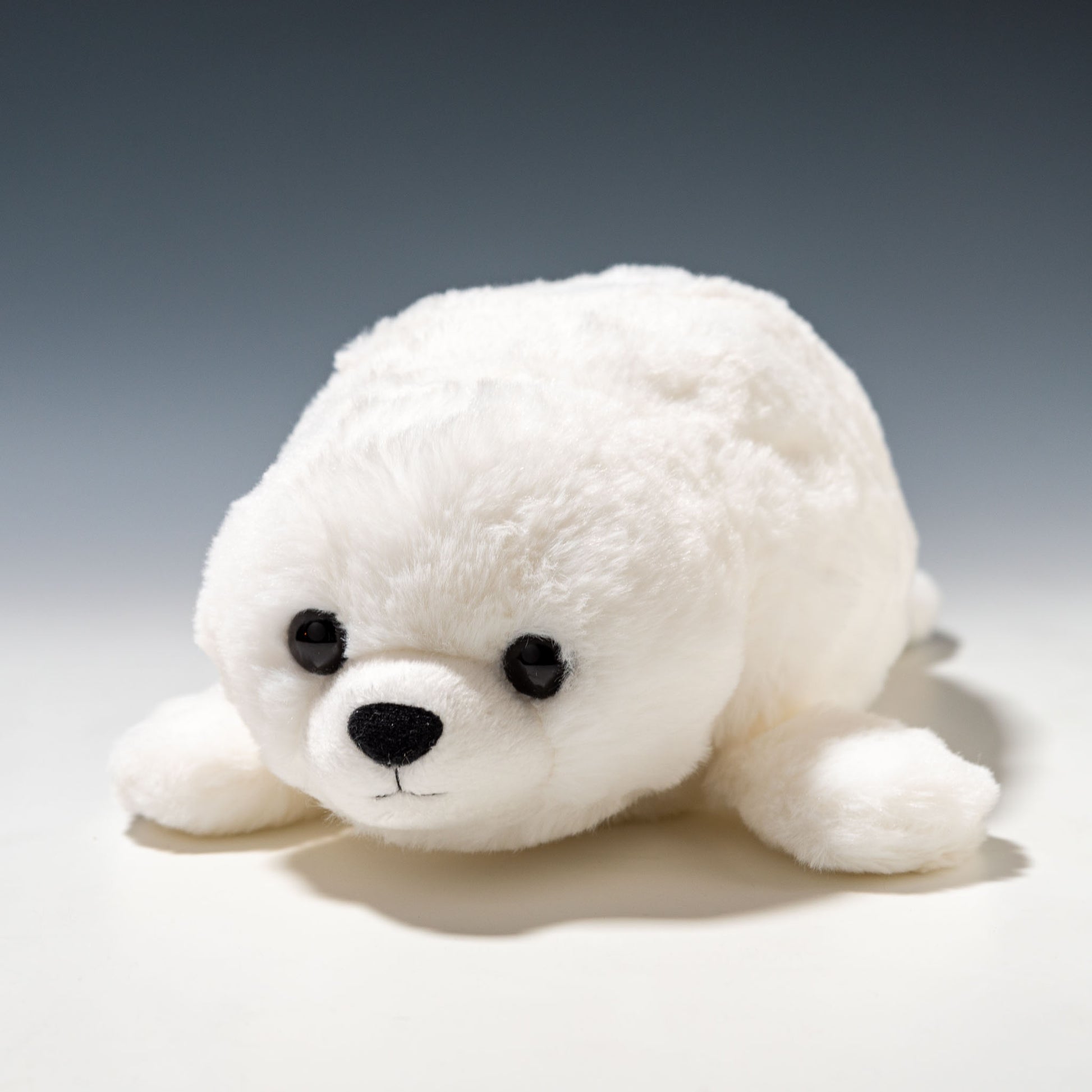 キュート販売 CUTE ぬいぐるみ マリンコレクション ふわふわアザラシ M ホワイト M0385 正面
