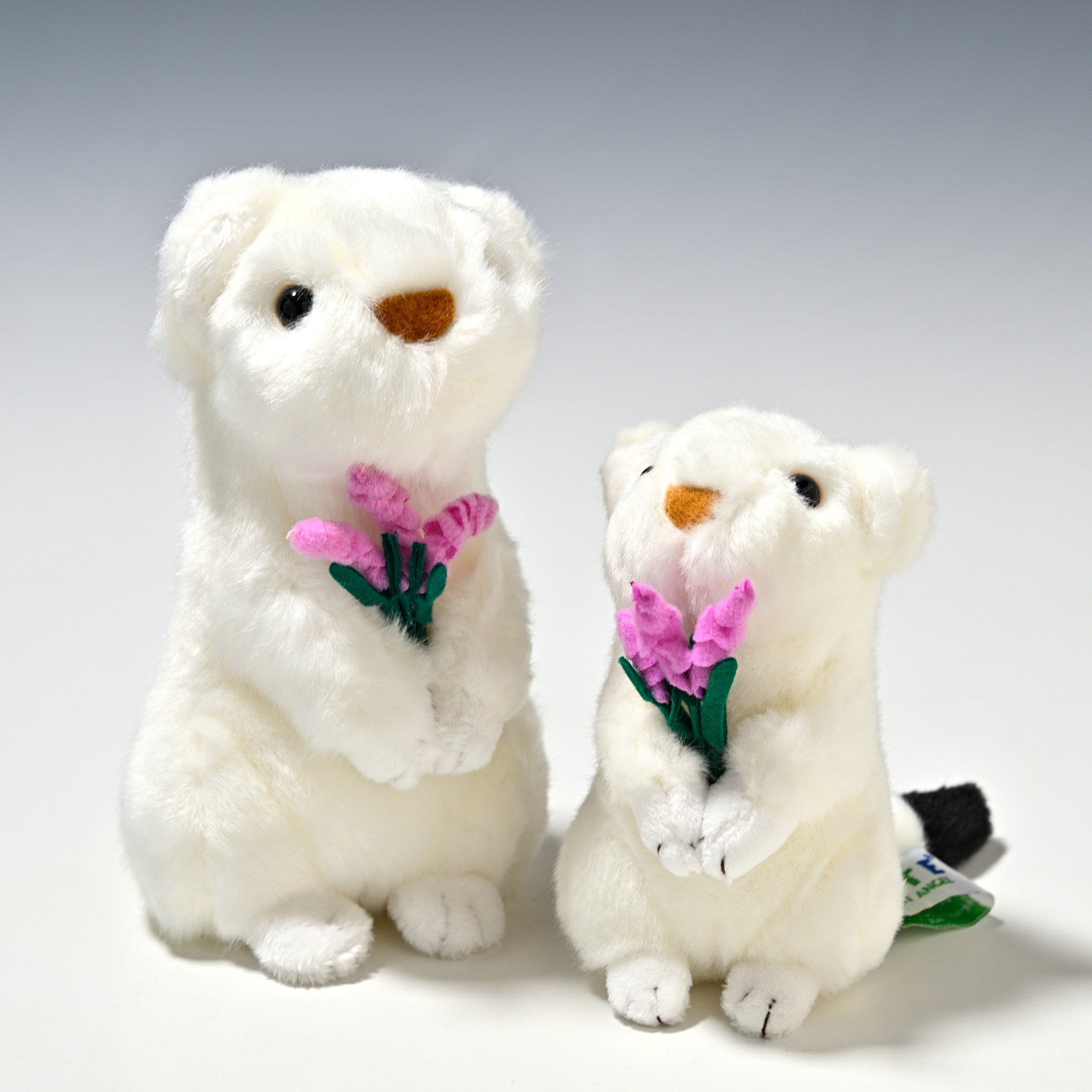オコジョのぬいぐるみ キュート販売 CUTE フォレストコレクション
