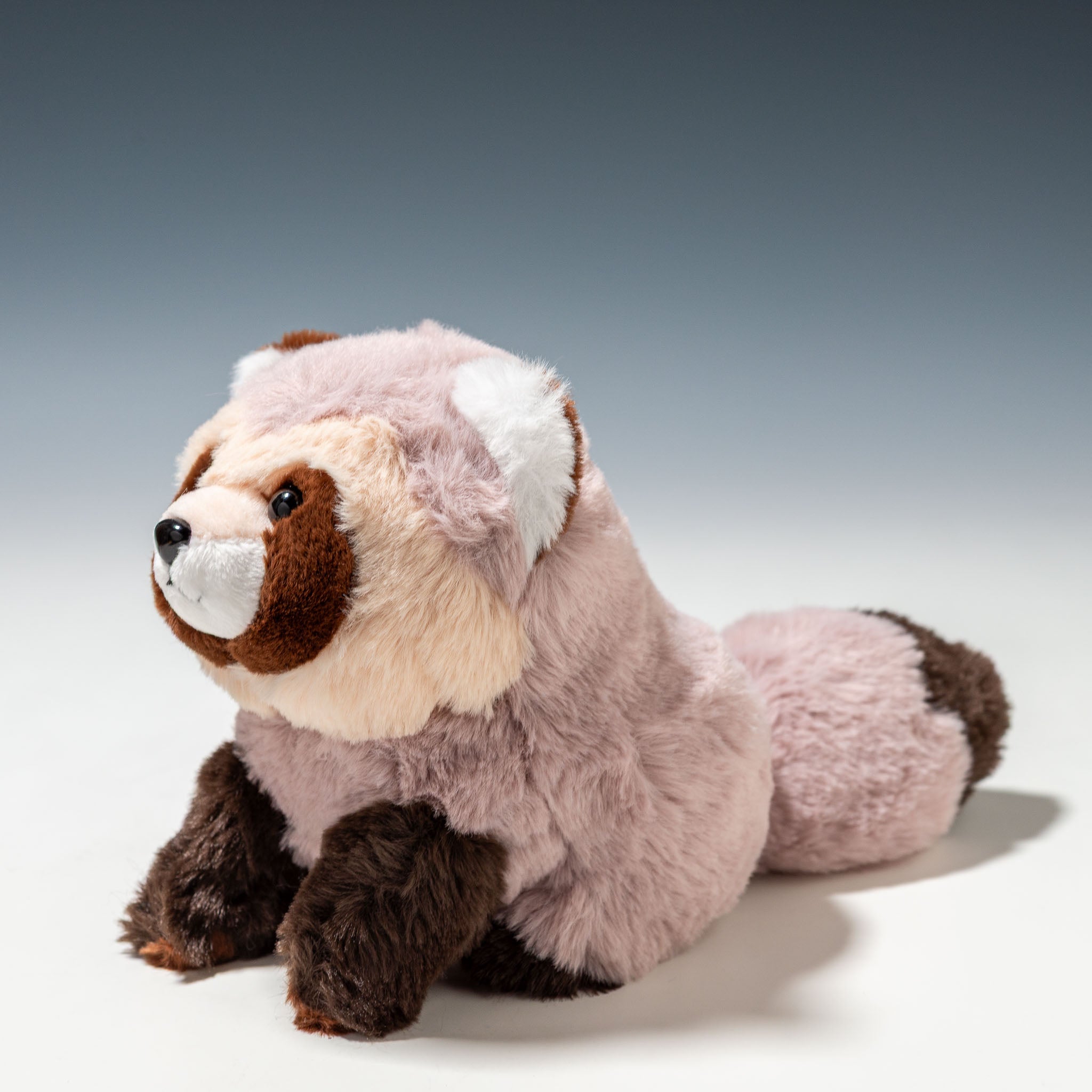 タヌキのぬいぐるみ キュート販売 CUTE 北海道限定 エゾタヌキ Z0393