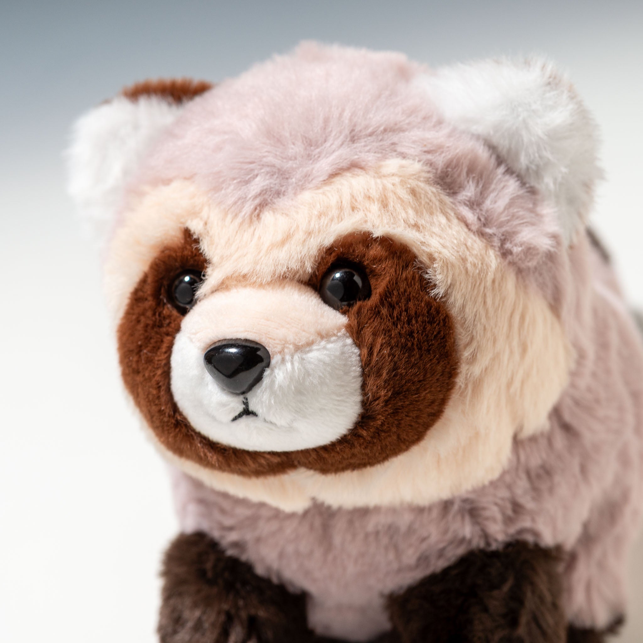 タヌキのぬいぐるみ キュート販売 CUTE 北海道限定 エゾタヌキ Z0393