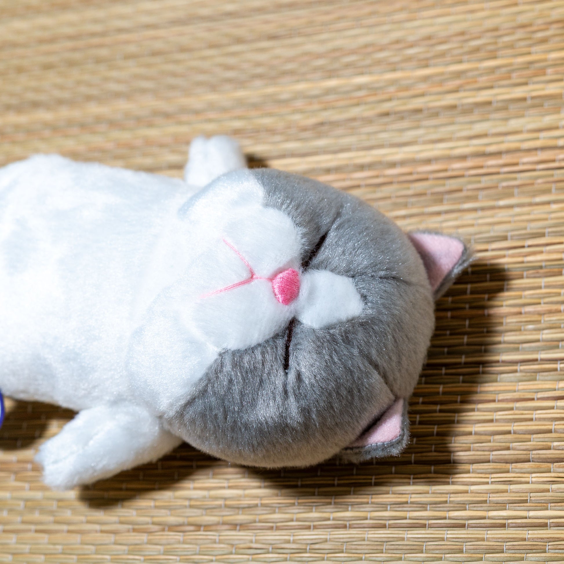 内藤デザイン研究所 ぬいぐるみ ぼうみたいなねこ ねずぼう 左横顔