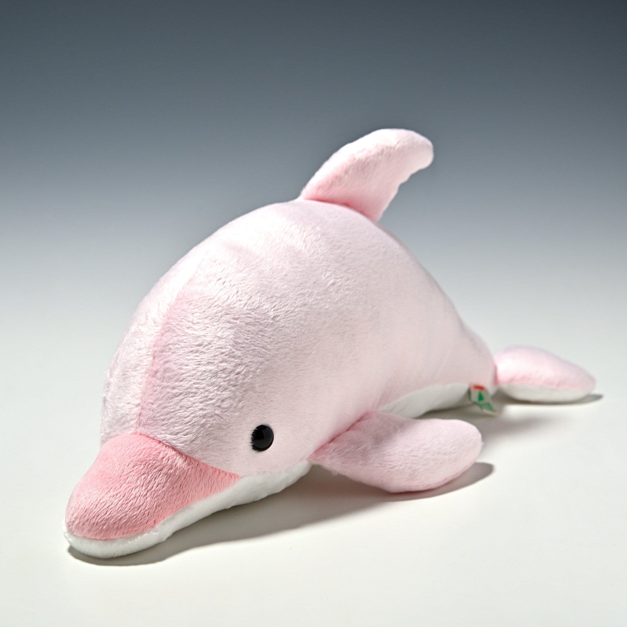 たけのこ TAKENOKO ぬいぐるみ NEW イルカ Mサイズ ピンク 16768