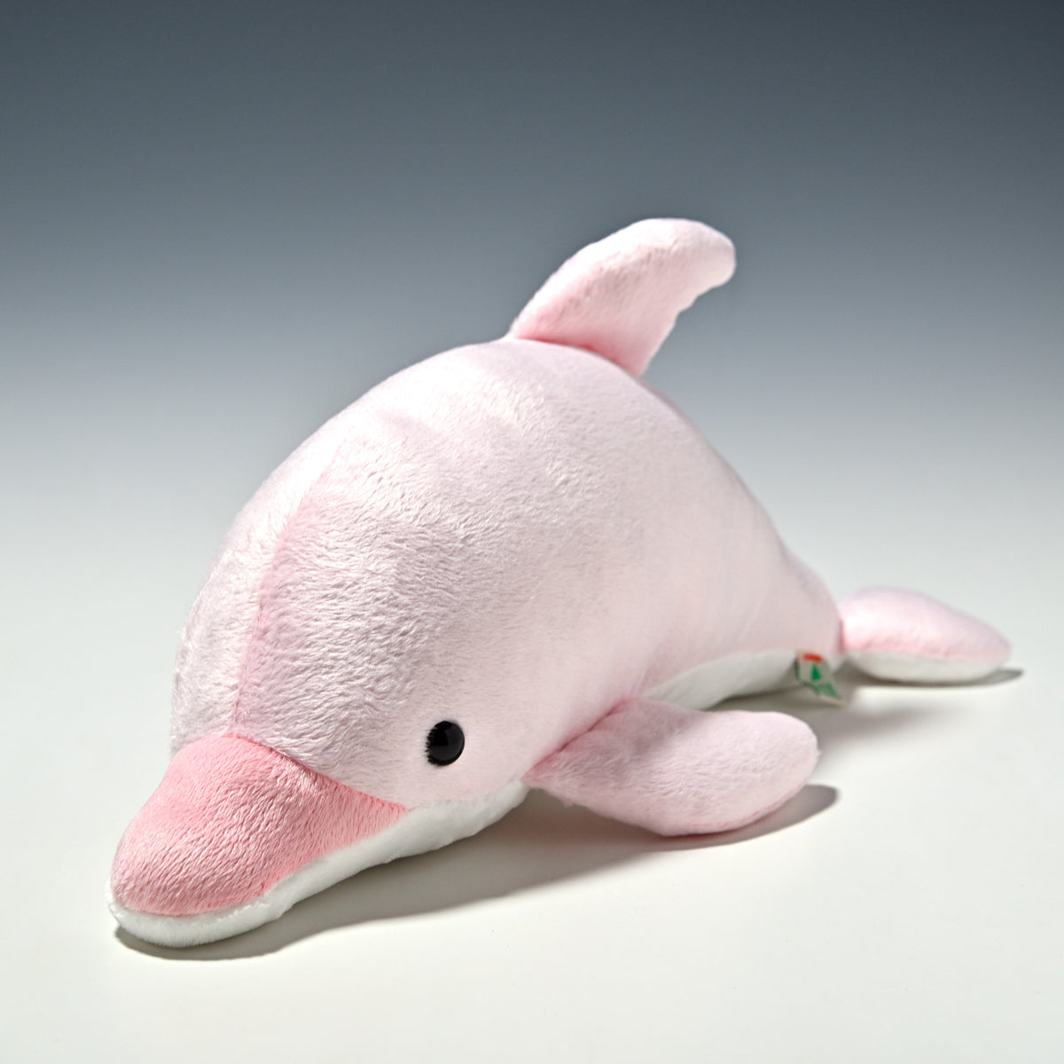 たけのこ TAKENOKO ぬいぐるみ NEW イルカ Mサイズ ピンク 16768 正面