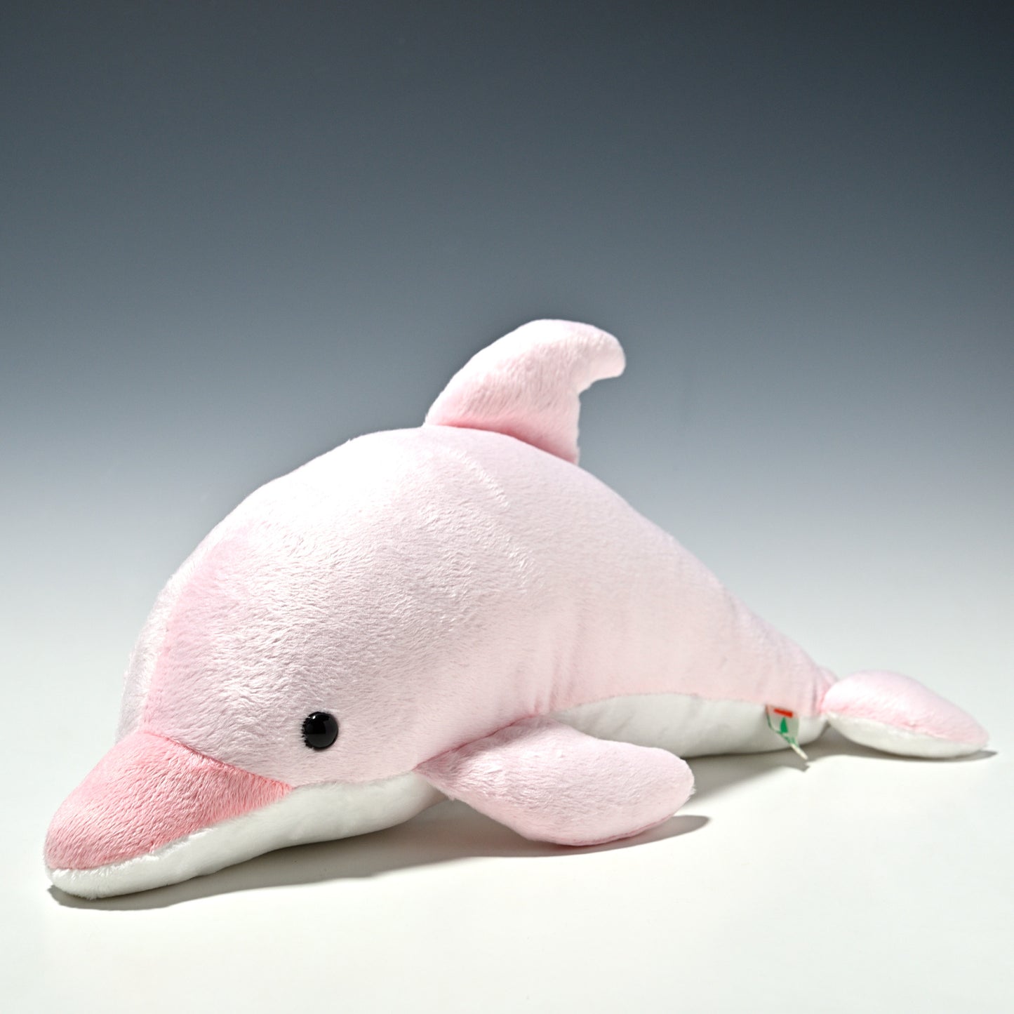 たけのこ TAKENOKO ぬいぐるみ NEW イルカ Mサイズ ピンク 16768 右横