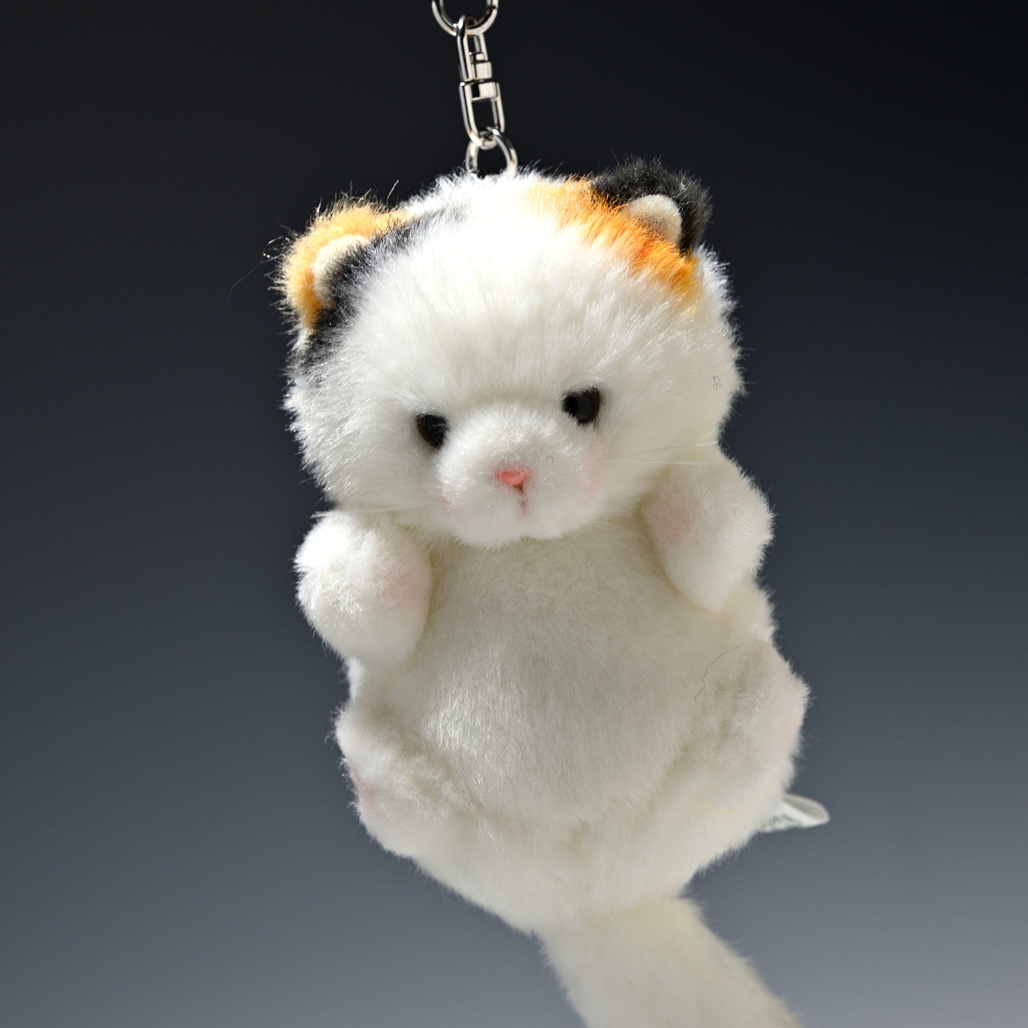 たけのこ TAKENOKO ぬいぐるみ プチプチどりーむ ミケネコ 68328