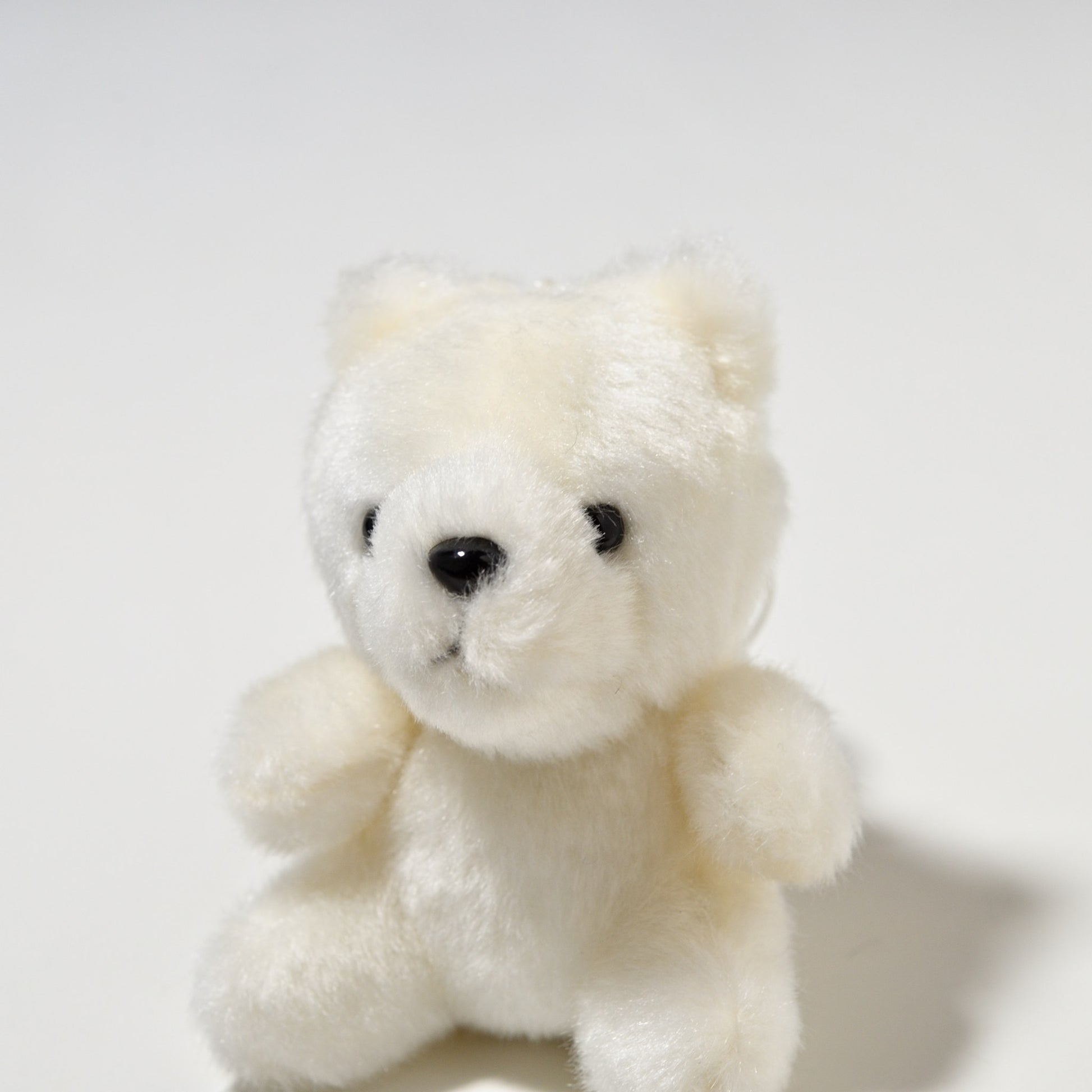 たけのこ TAKENOKO ぬいぐるみ ぶるぶるマスコット 白クマ 68838 左横顔