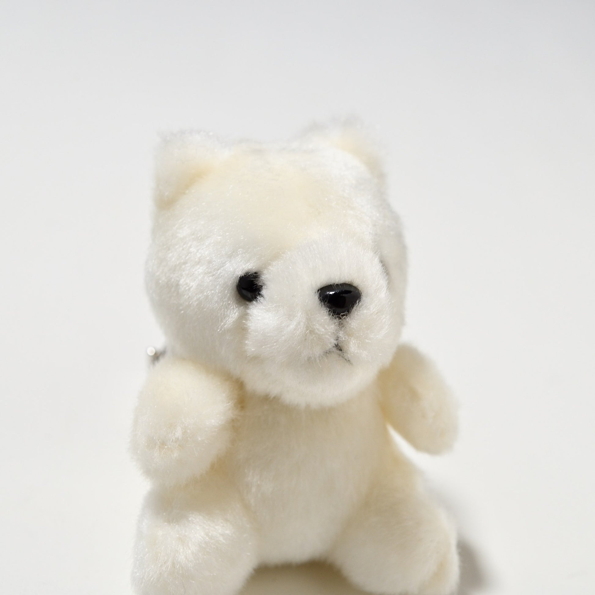 たけのこ TAKENOKO ぬいぐるみ ぶるぶるマスコット 白クマ 68838 右横顔