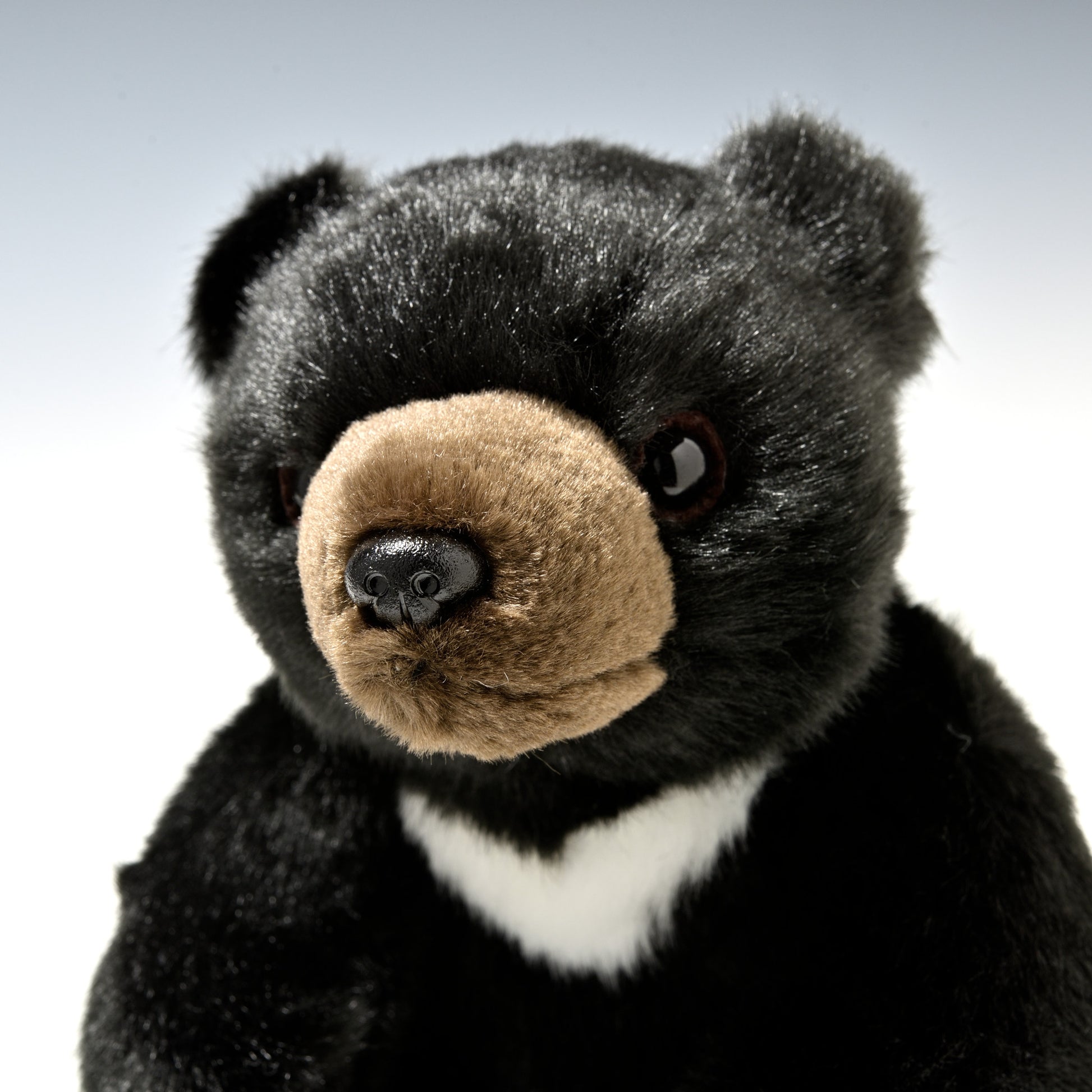 吉徳 ぬいぐるみ りくのなかまたち ツキノワグマ SS 180248 左横顔