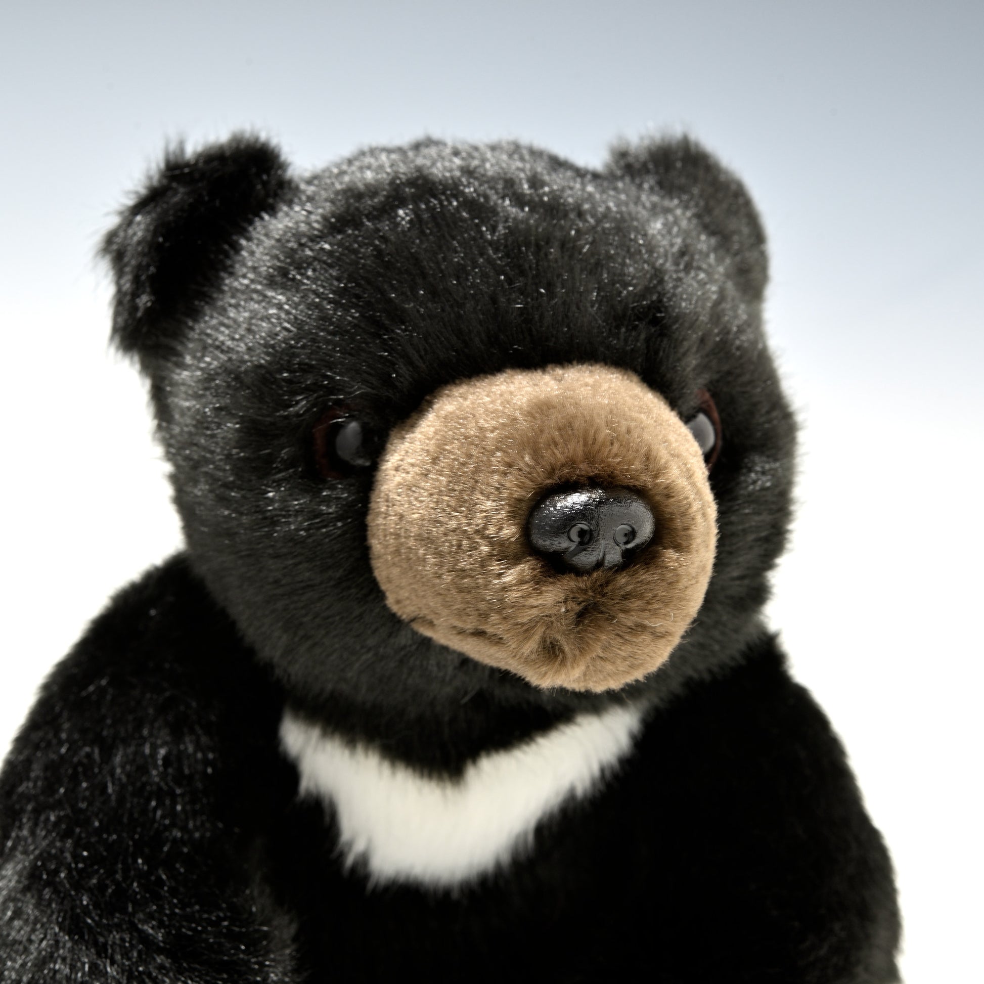 吉徳 ぬいぐるみ りくのなかまたち ツキノワグマ SS 180248 右横顔