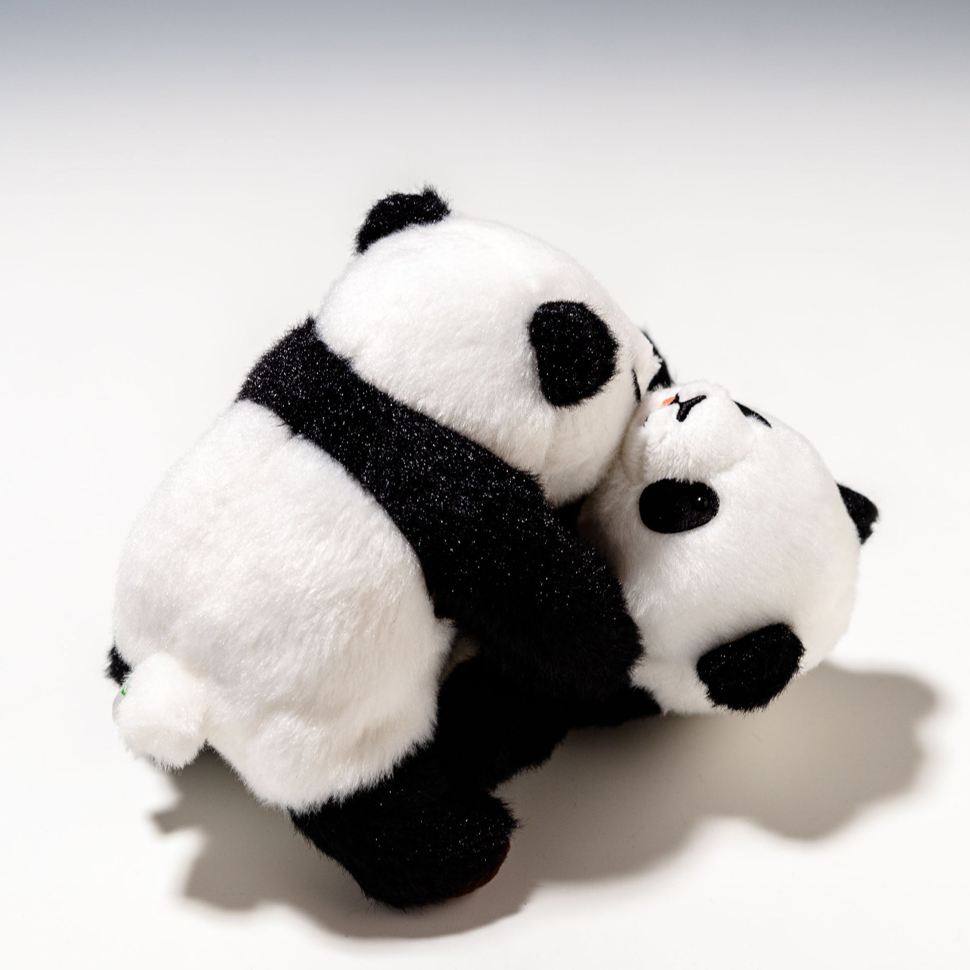 幸福大熊猫 しんふーぱんだ じゃれパンダ 180321 | 吉徳の後ろ姿