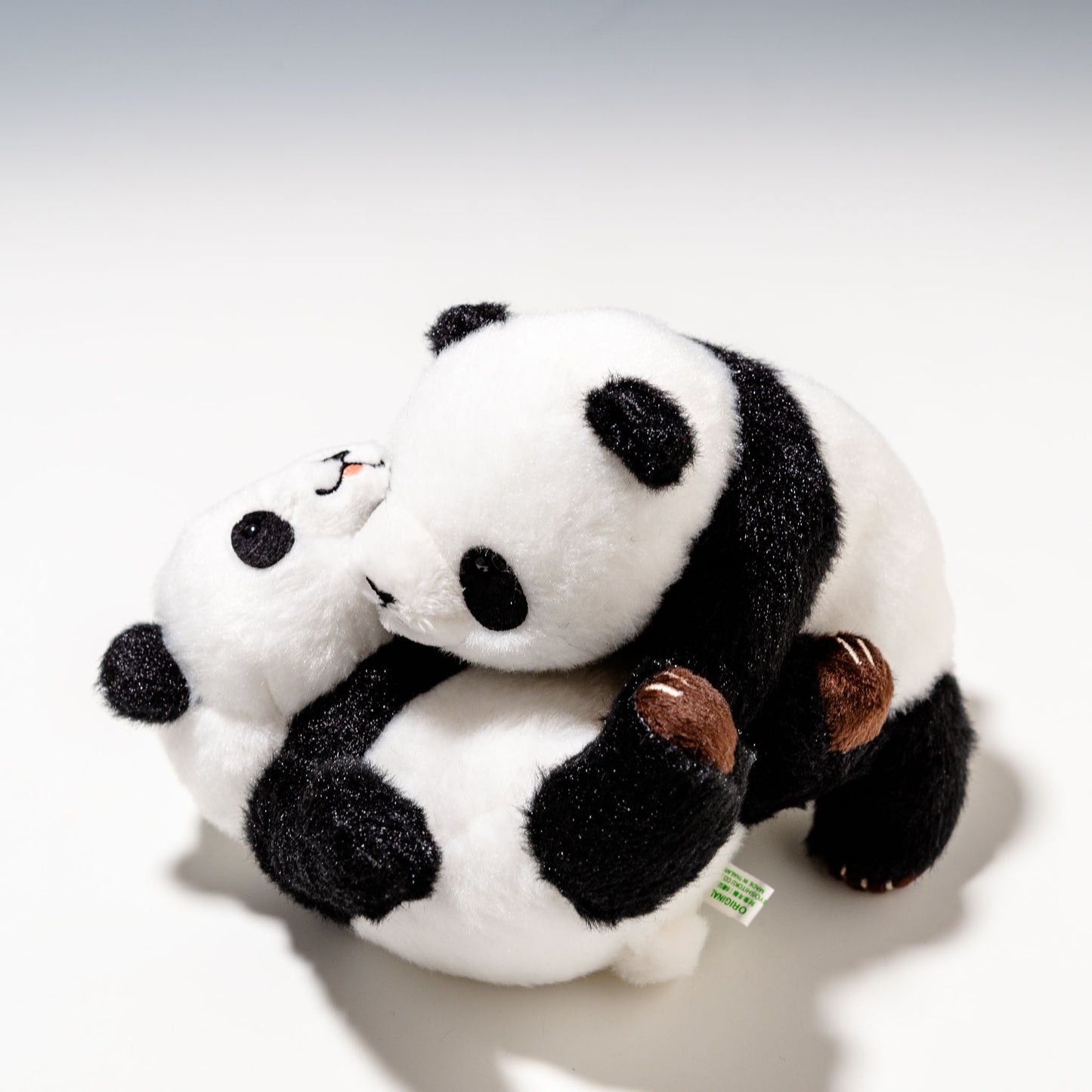 幸福大熊猫 しんふーぱんだ じゃれパンダ 180321 | 吉徳の右横