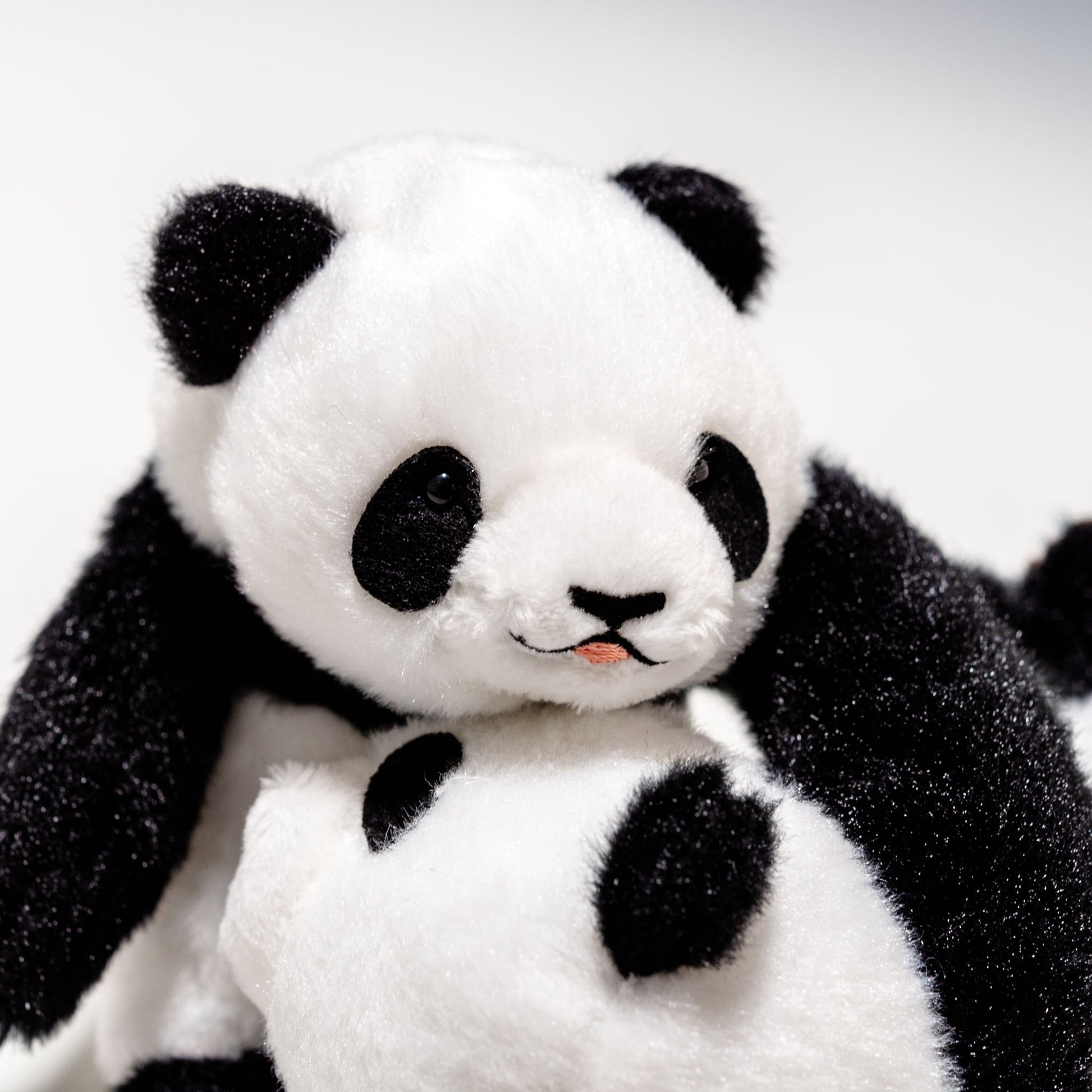 幸福大熊猫 しんふーぱんだ じゃれパンダ 180321 | 吉徳の口を開けたパンダ