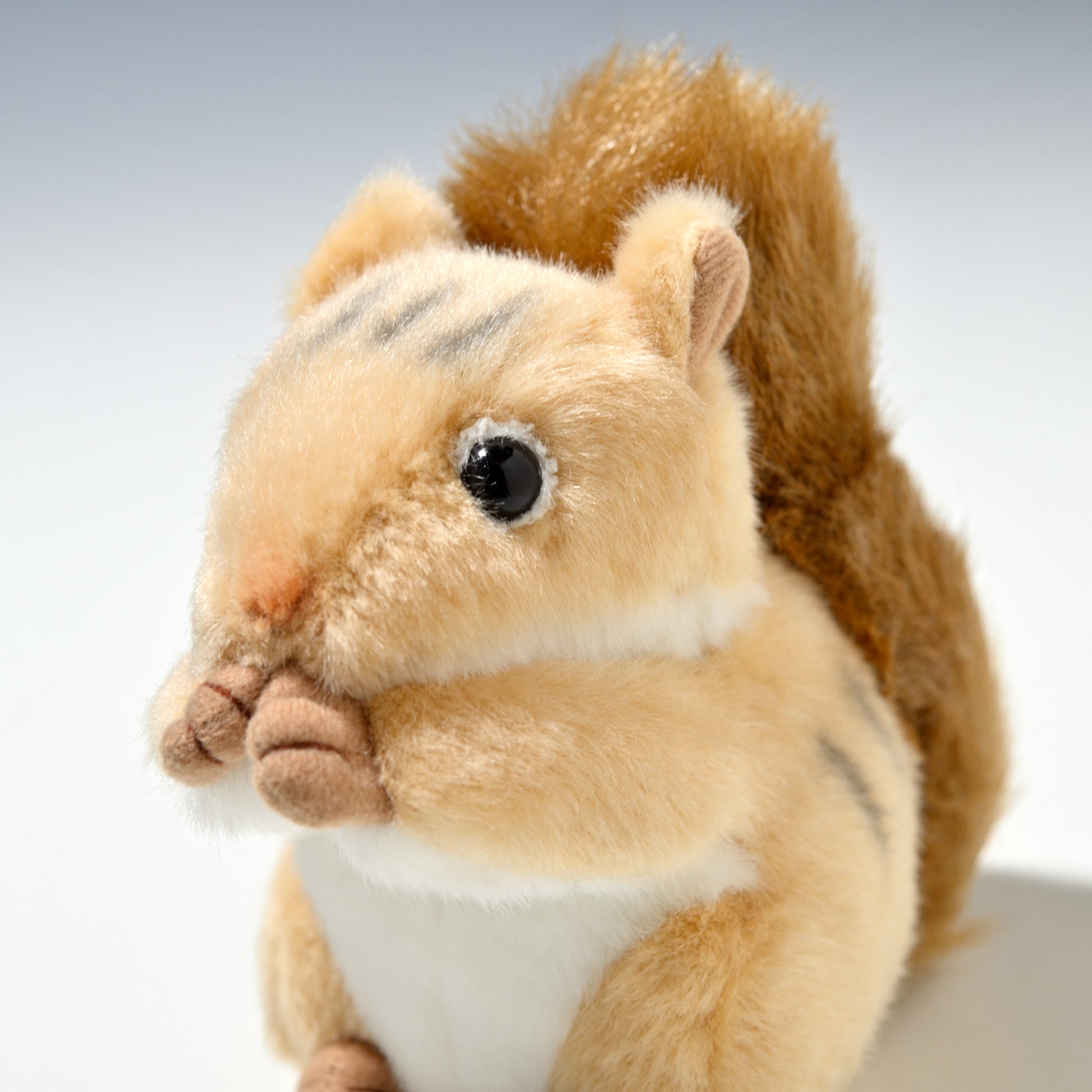 吉徳 ぬいぐるみ りくのなかまたち りすのサック 180341 左横顔